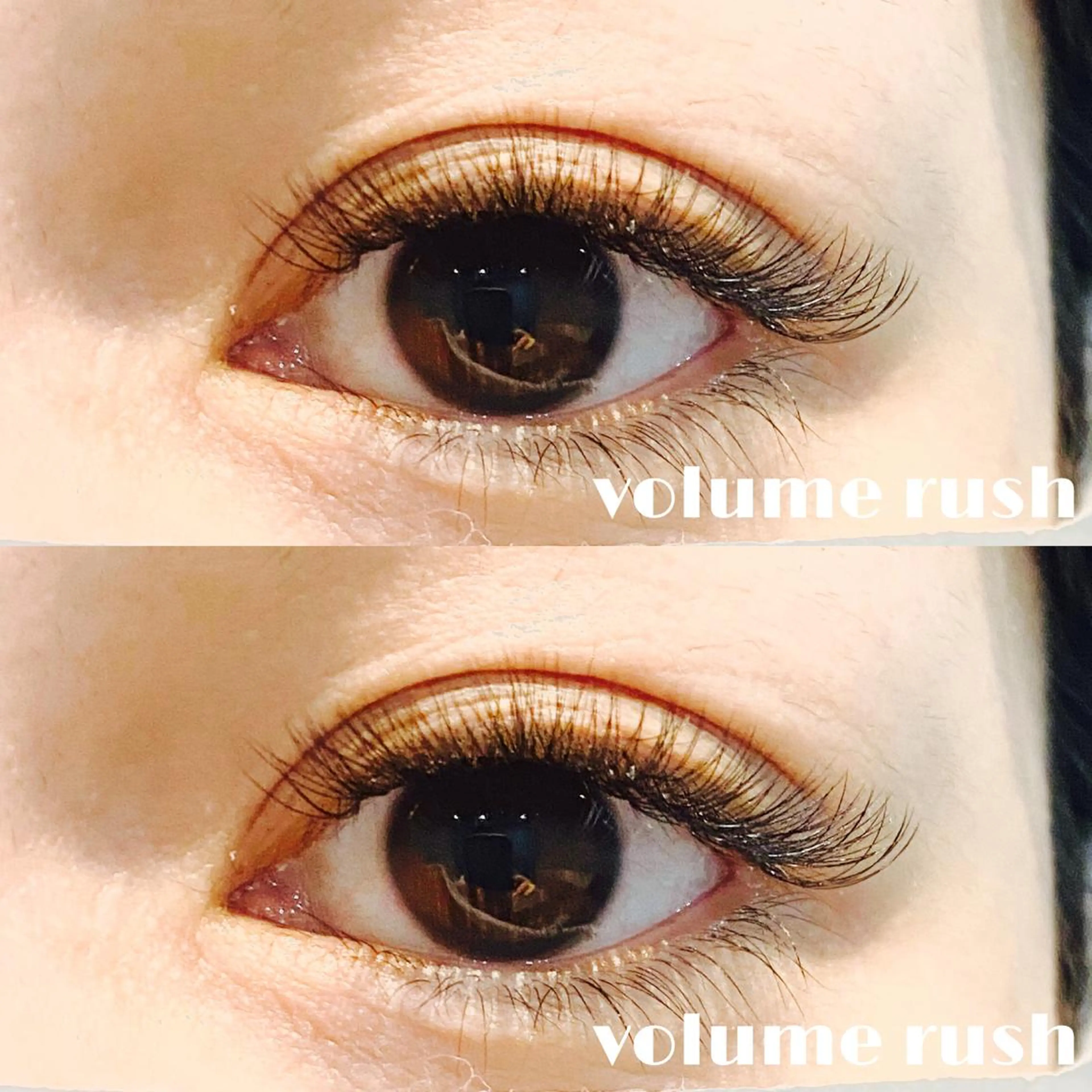 平日限定🎃ボリュームラッシュ300本🎃の写真