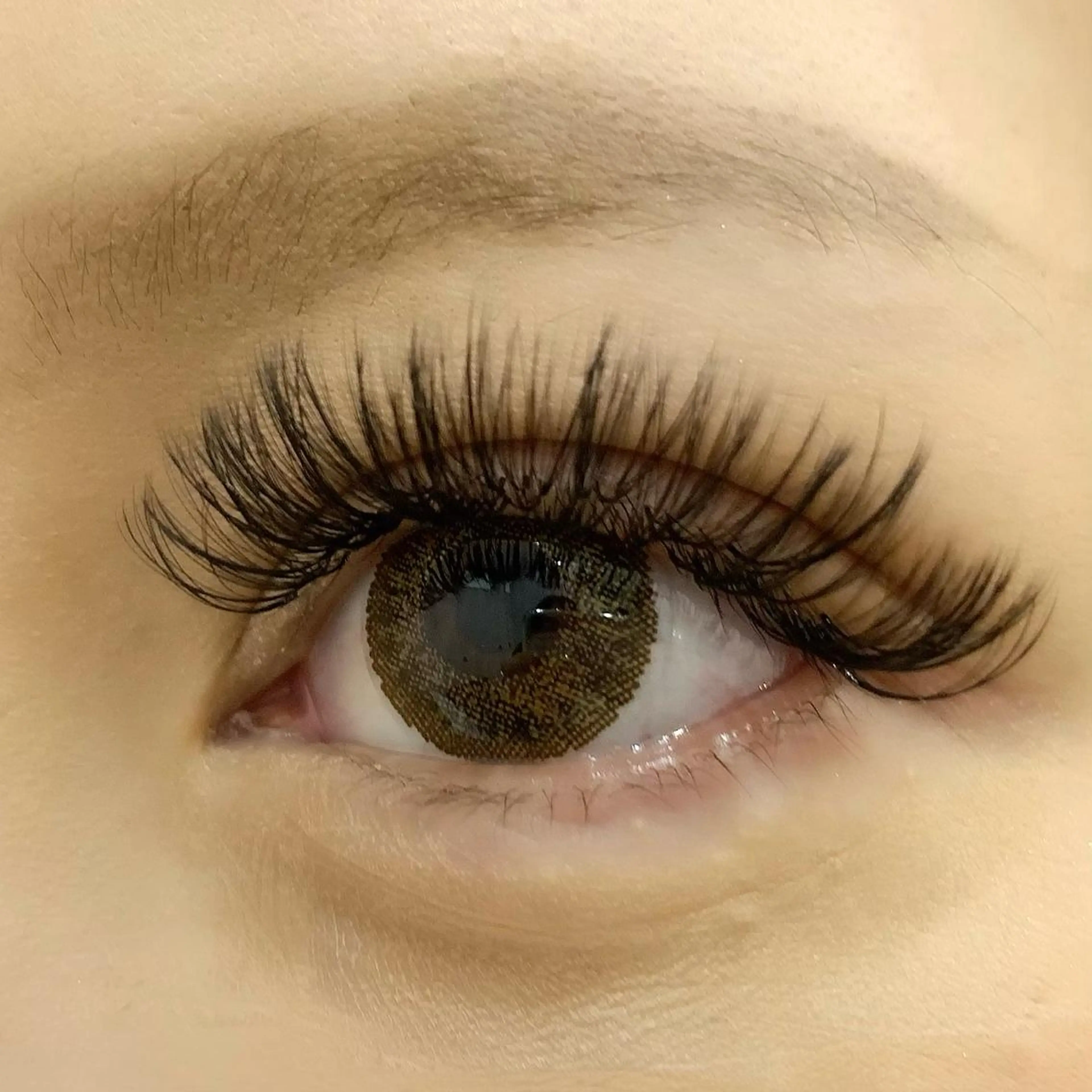 付けまつ毛みたいにバサバサになるメガボリュームラッシュ✨つけ放題/MAX900本  それ以上ご希望の方はプラスになりますの写真