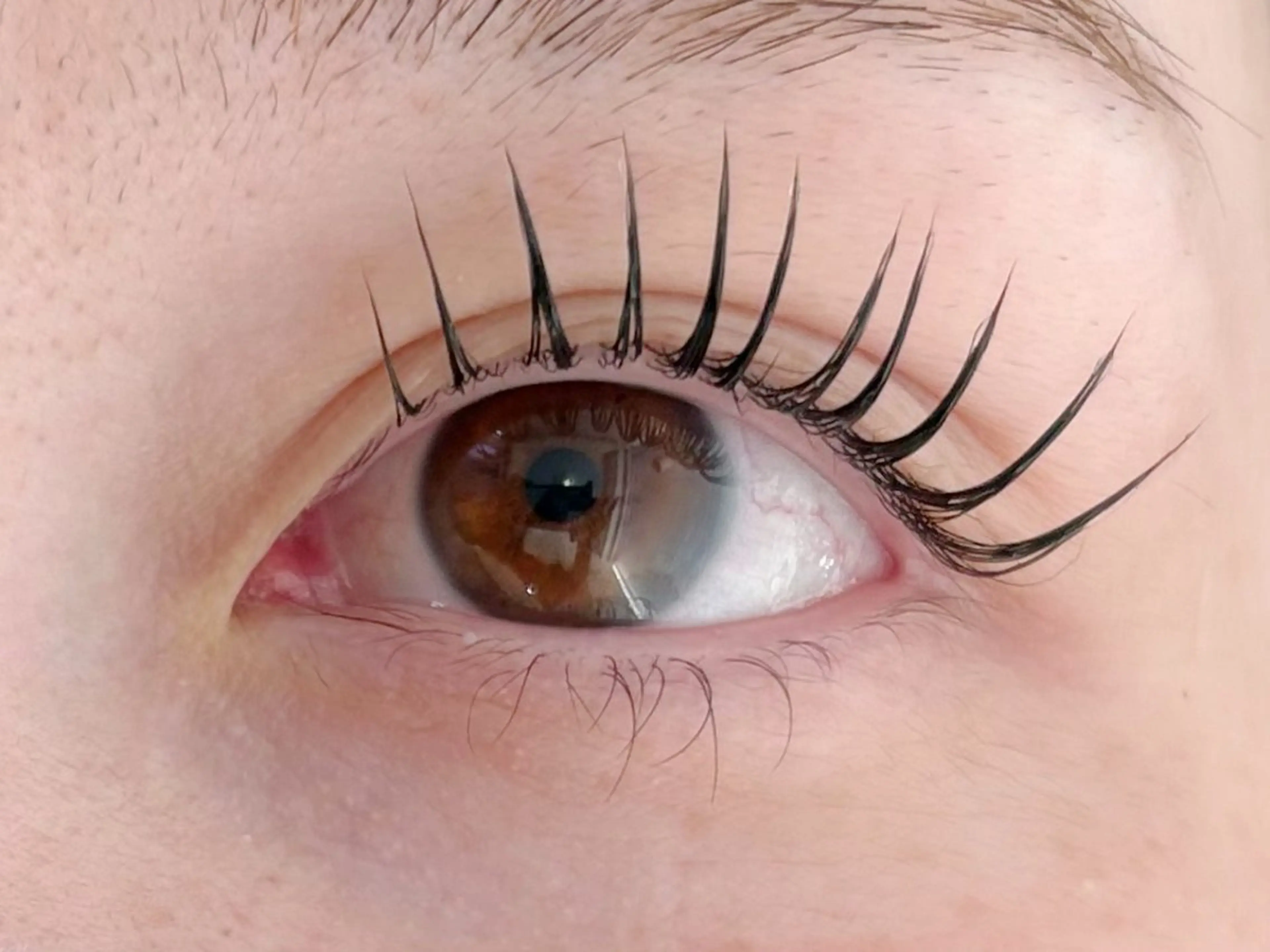 マツエク・マツパ alice tokyo鈴木★のマツエク・マツパデザイン