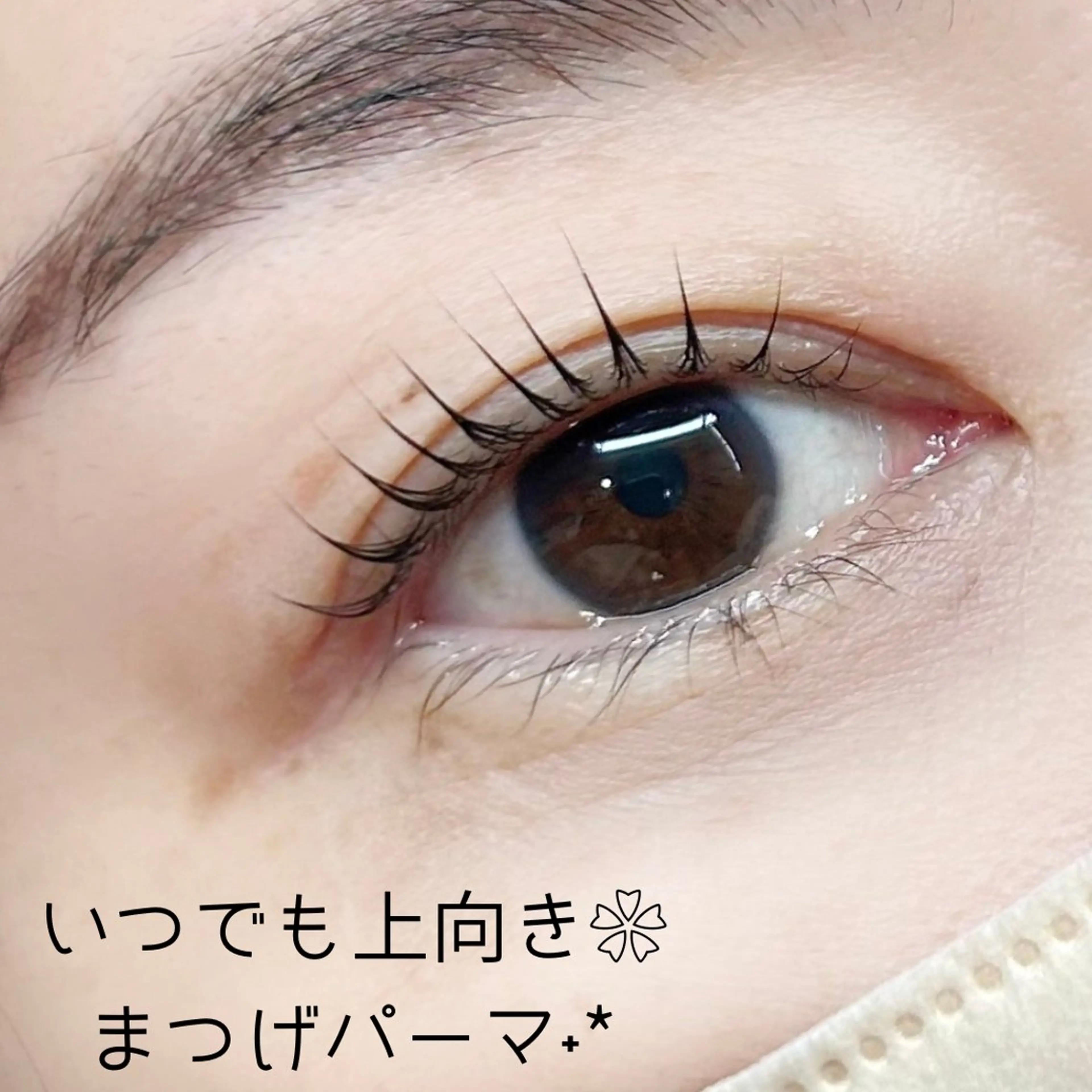 【人気No.1👀】まつげパーマ/ラッシュリフト／立ち上げ・カール・デザイン自由／コーティング付の写真