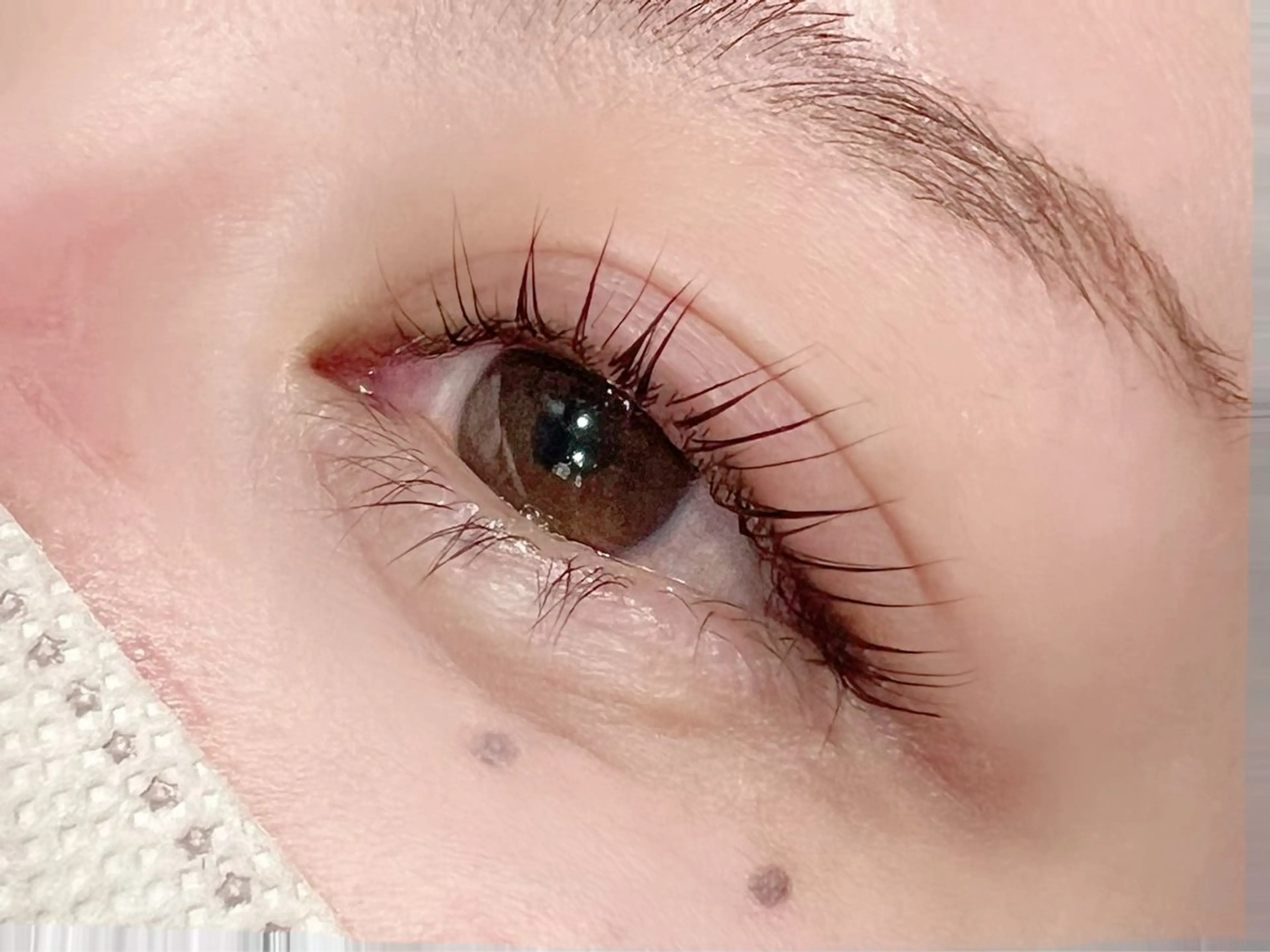 上下ラッシュリフト◆次世代まつ毛パーマ◆指名料込//¥9900の写真