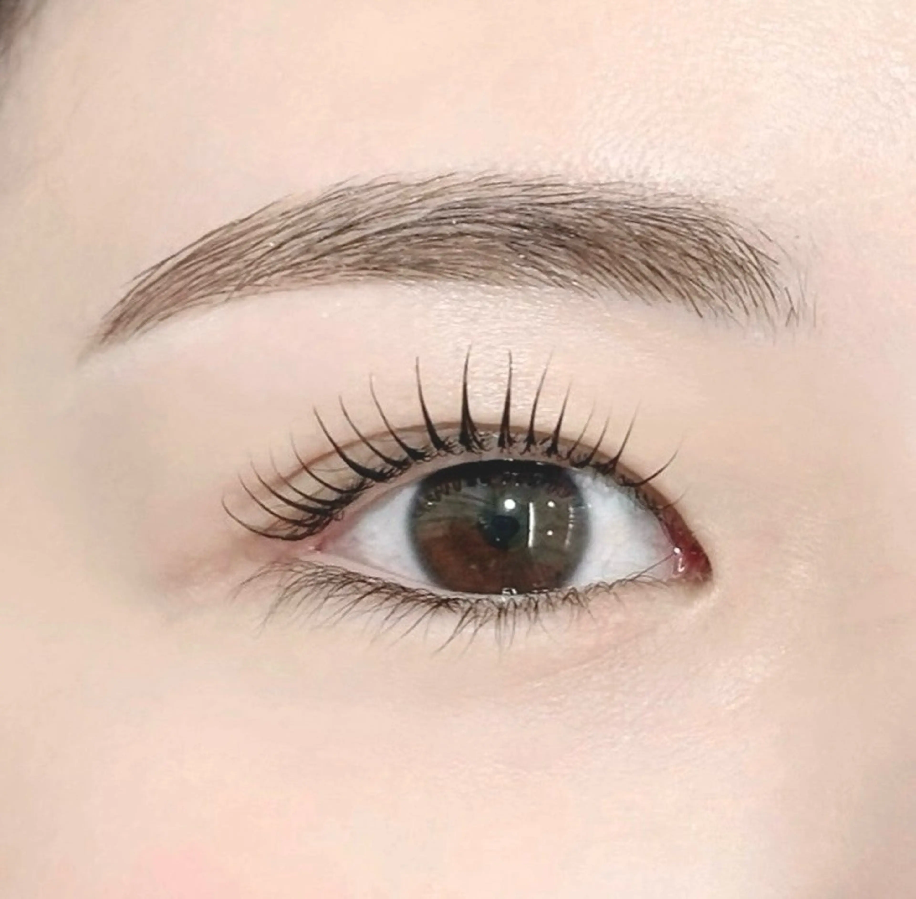 ご新規様限定🍒ご新規様🍒まつ毛パーマ➕眉毛ワックス🍒の写真