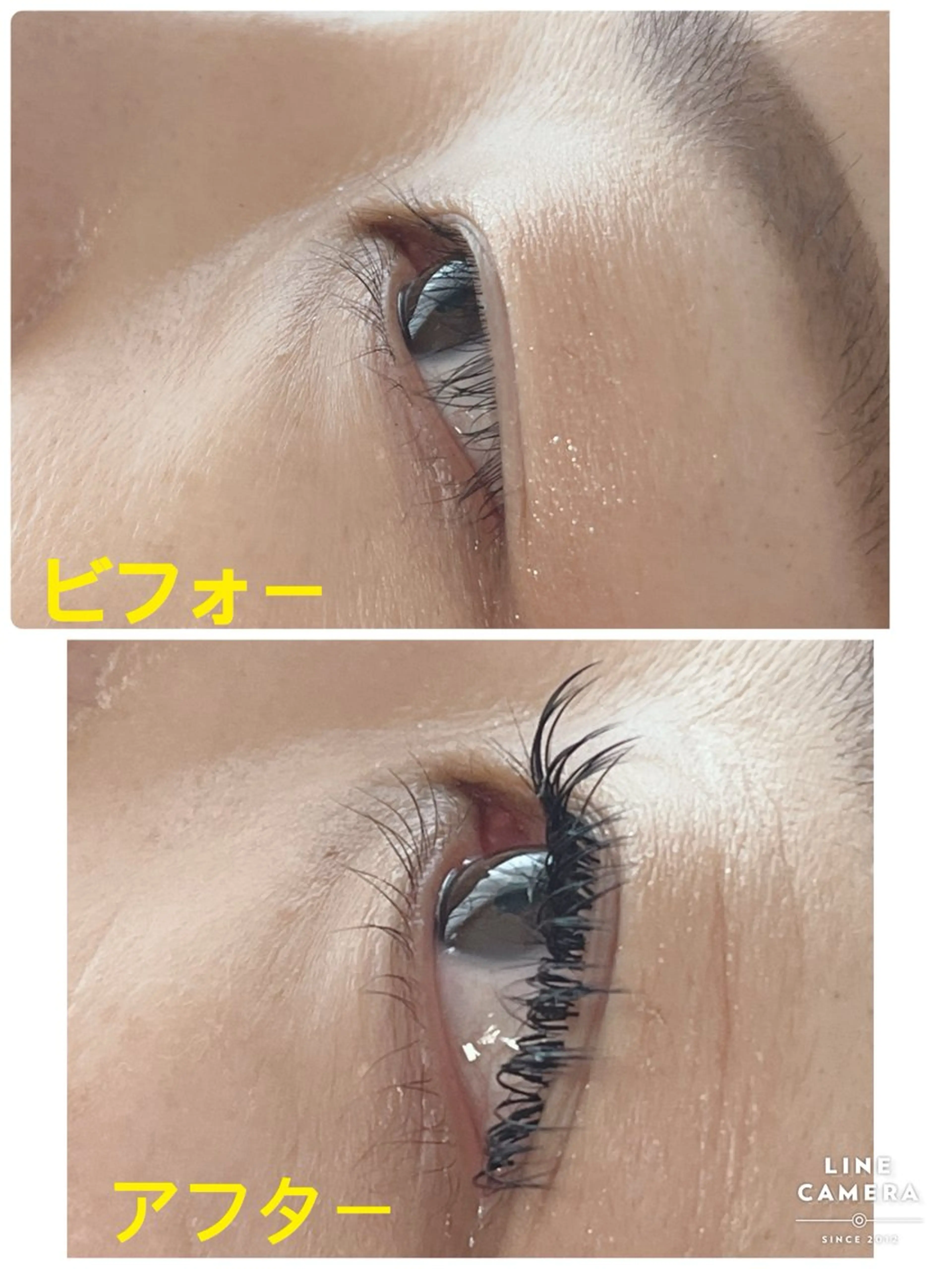 フラットラッシュ140本の写真