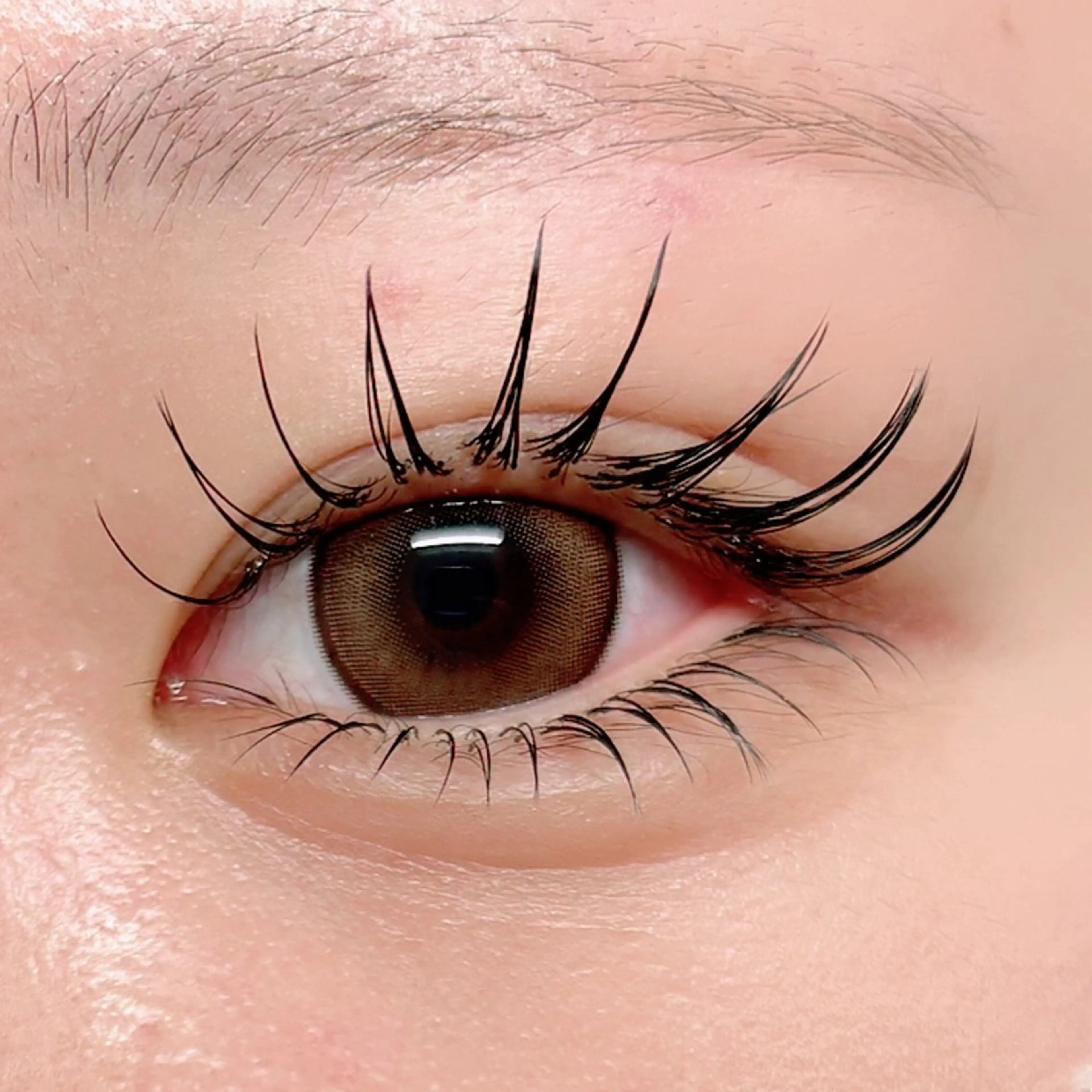 マツエク・マツパ ひがし 🐰🤍のマツエク・マツパデザイン