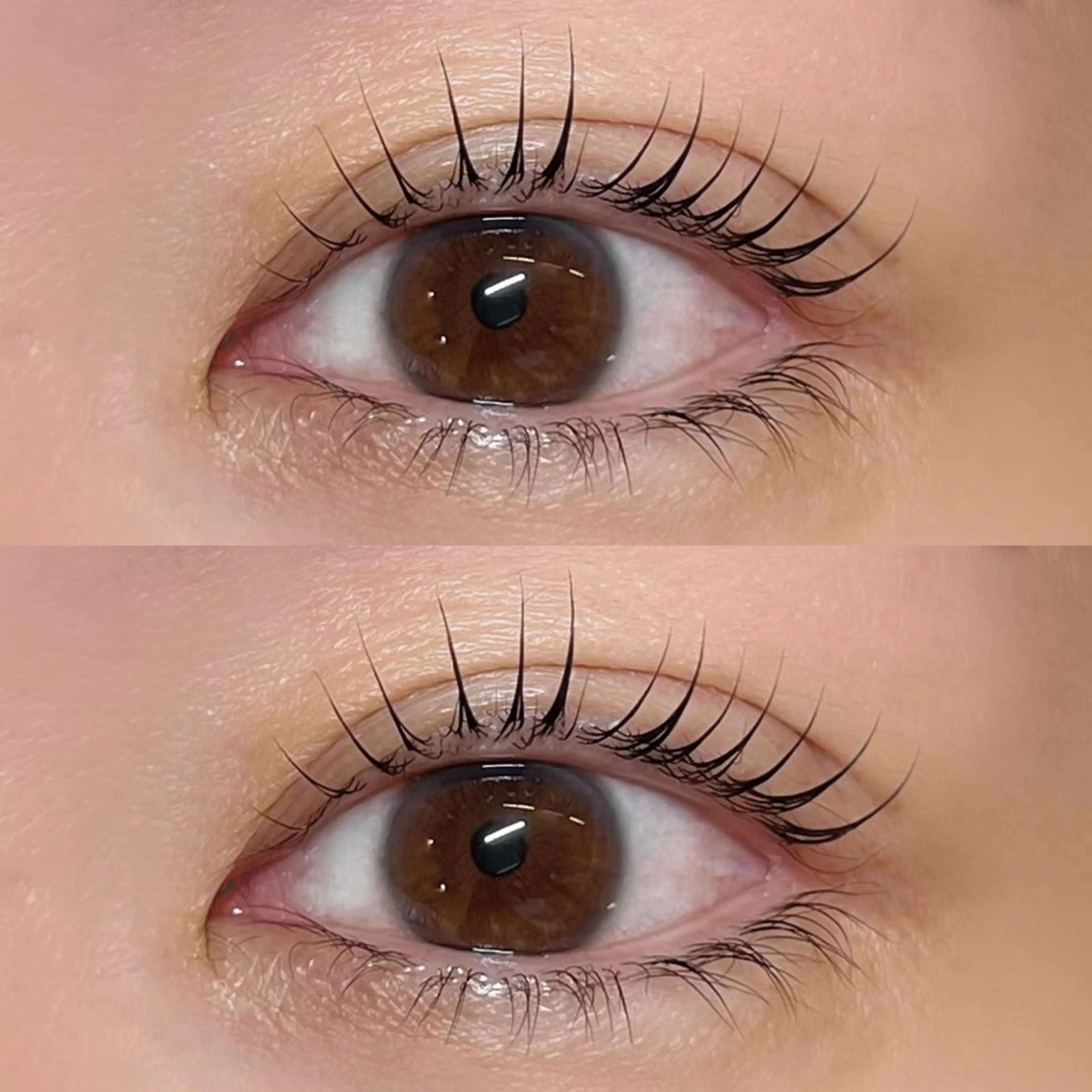 マツエク・マツパ MADRAS aikaのマツエク・マツパデザイン