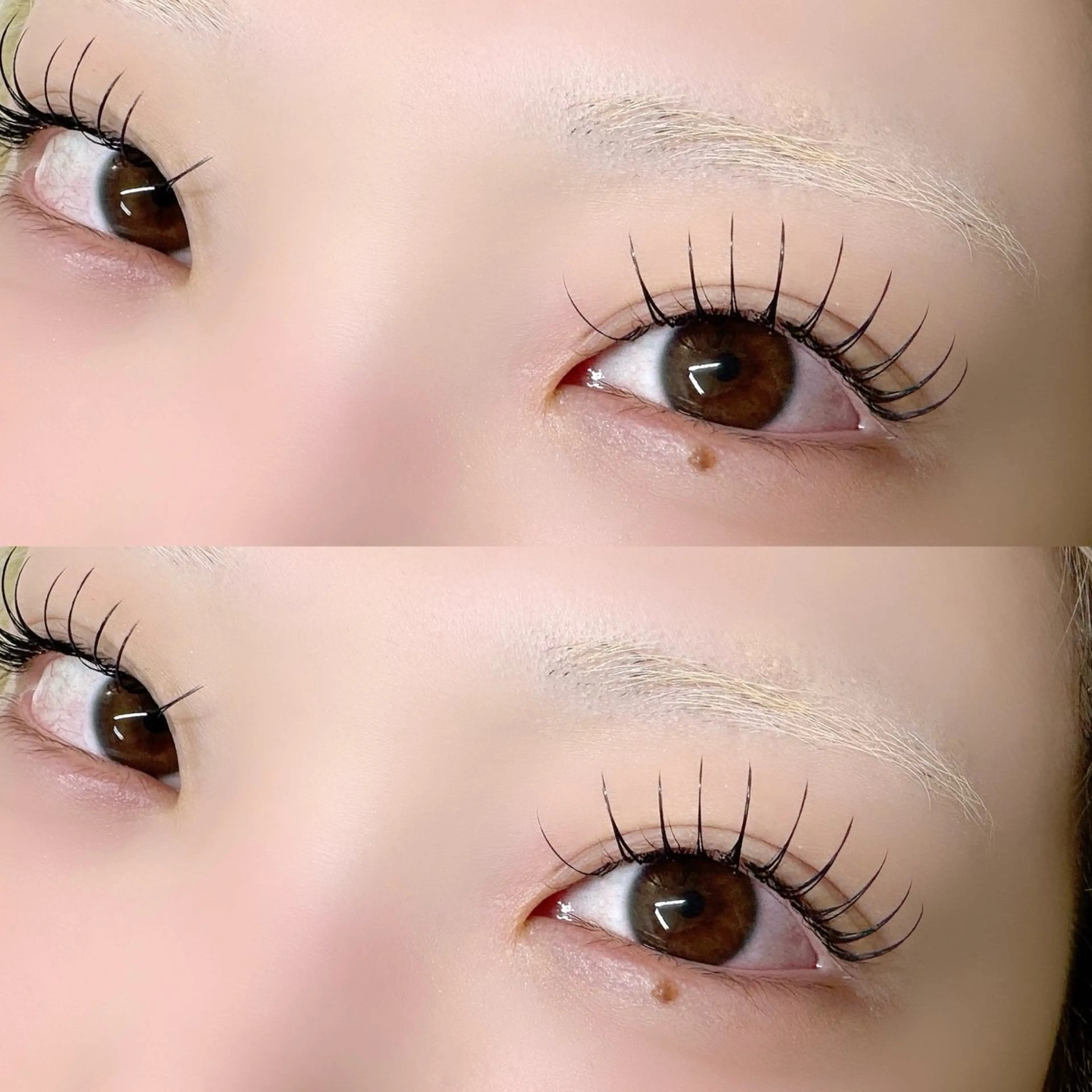 マツエク・マツパ マツエク alice tokyo中山★のマツエク・マツパデザイン