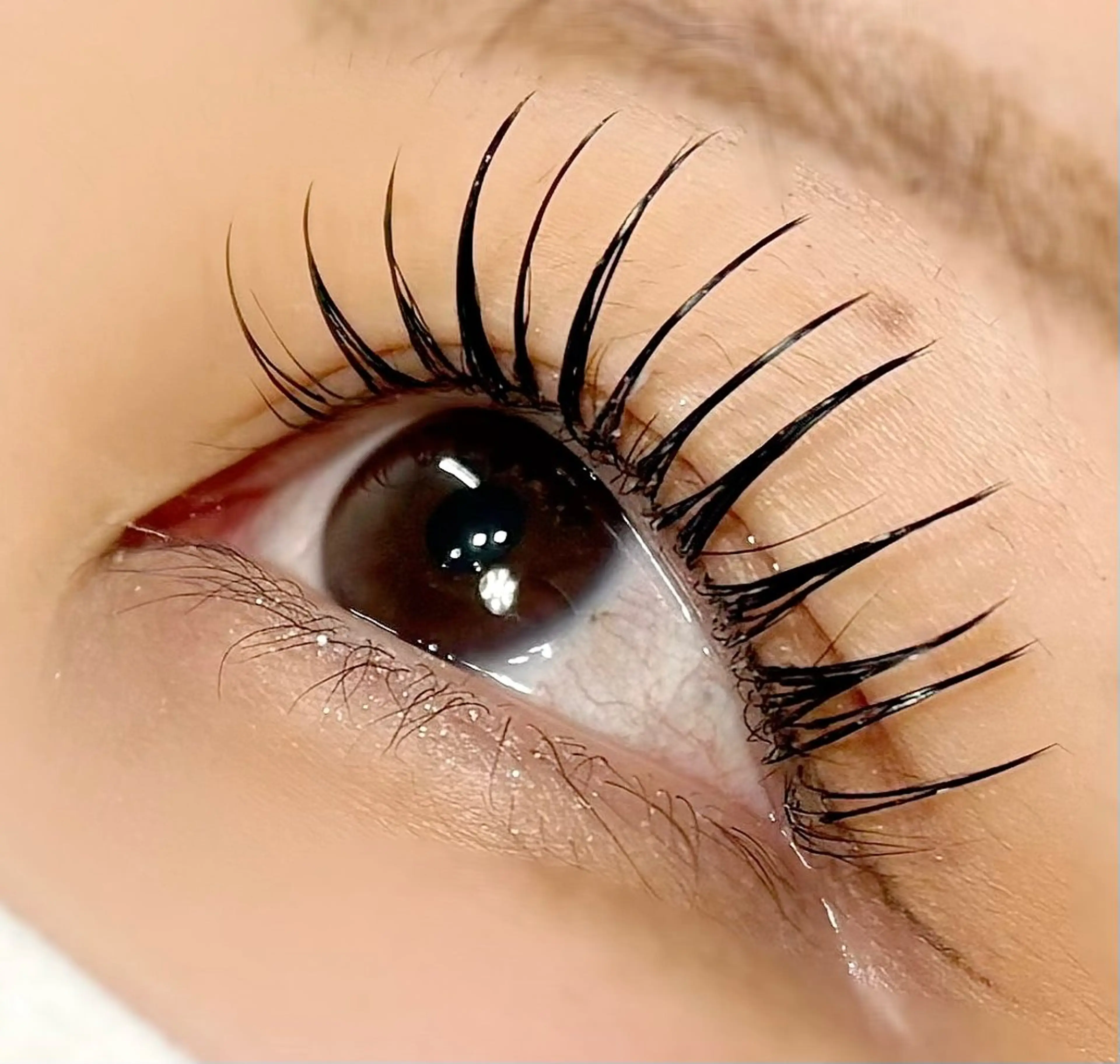 マツエク・マツパ マツエク まつぱ/パリジェンヌ LEDエク/パリエクのマツエク・マツパデザイン