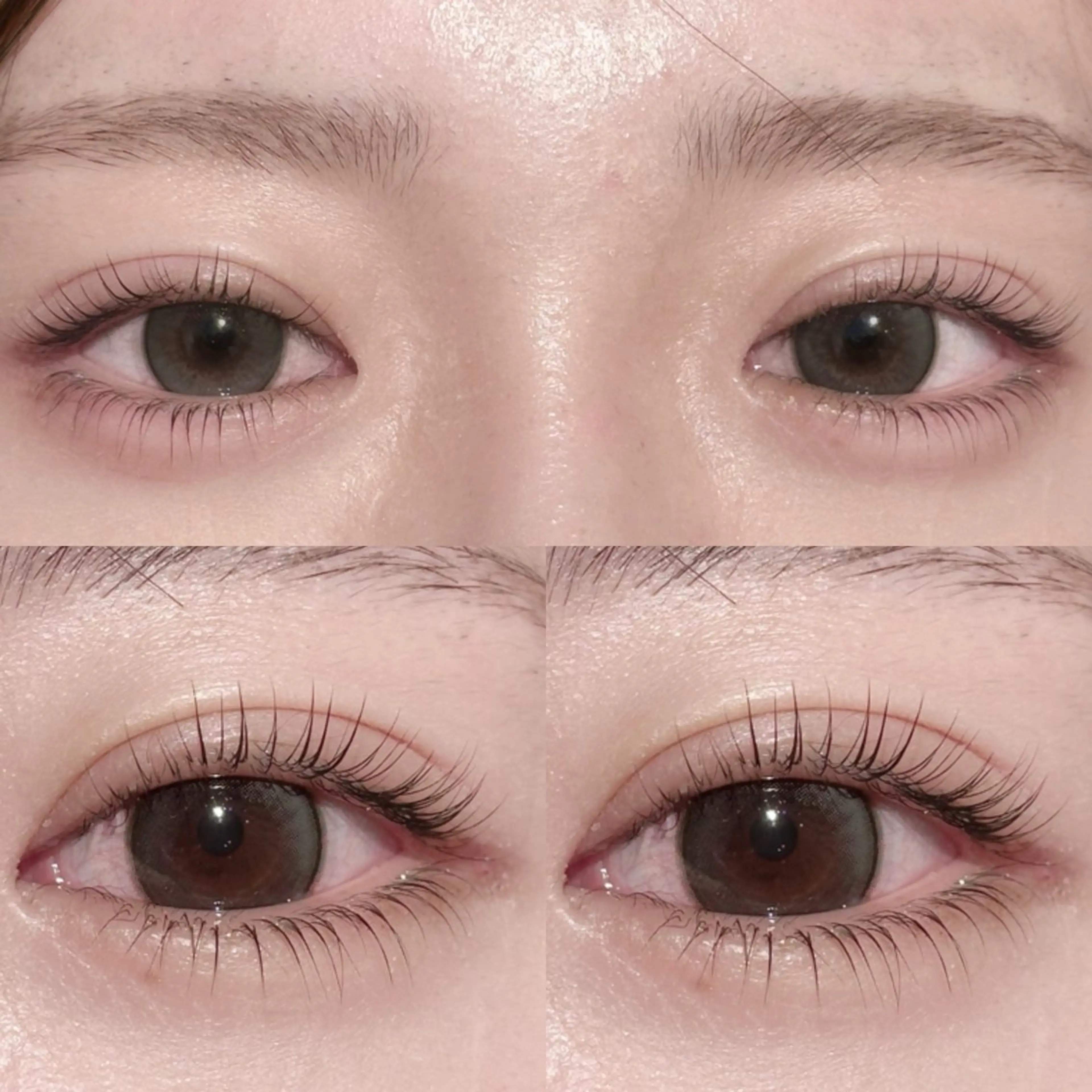 マツエク・マツパ ナチュラル 下まつげエクステ マツパ lit.🤍 kiyoneのマツエク・マツパデザイン