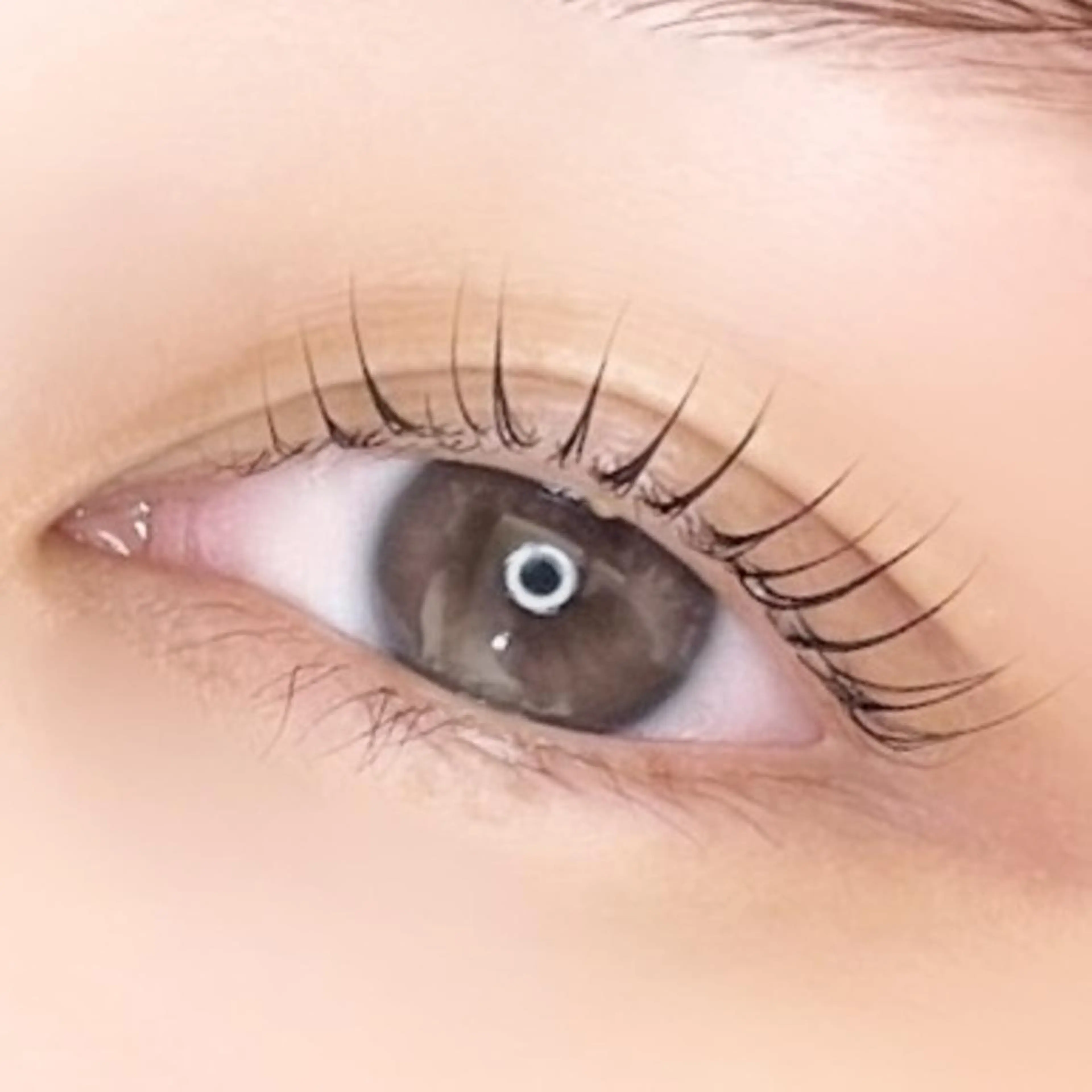 マツエク・マツパ 束感まつ毛 フラットラッシュ 韓国風マツエク ナチュラル まつげパーマ 🌻まつ毛&眉毛 yukimi⛄️🖤の眉毛・アイブロウイメージ