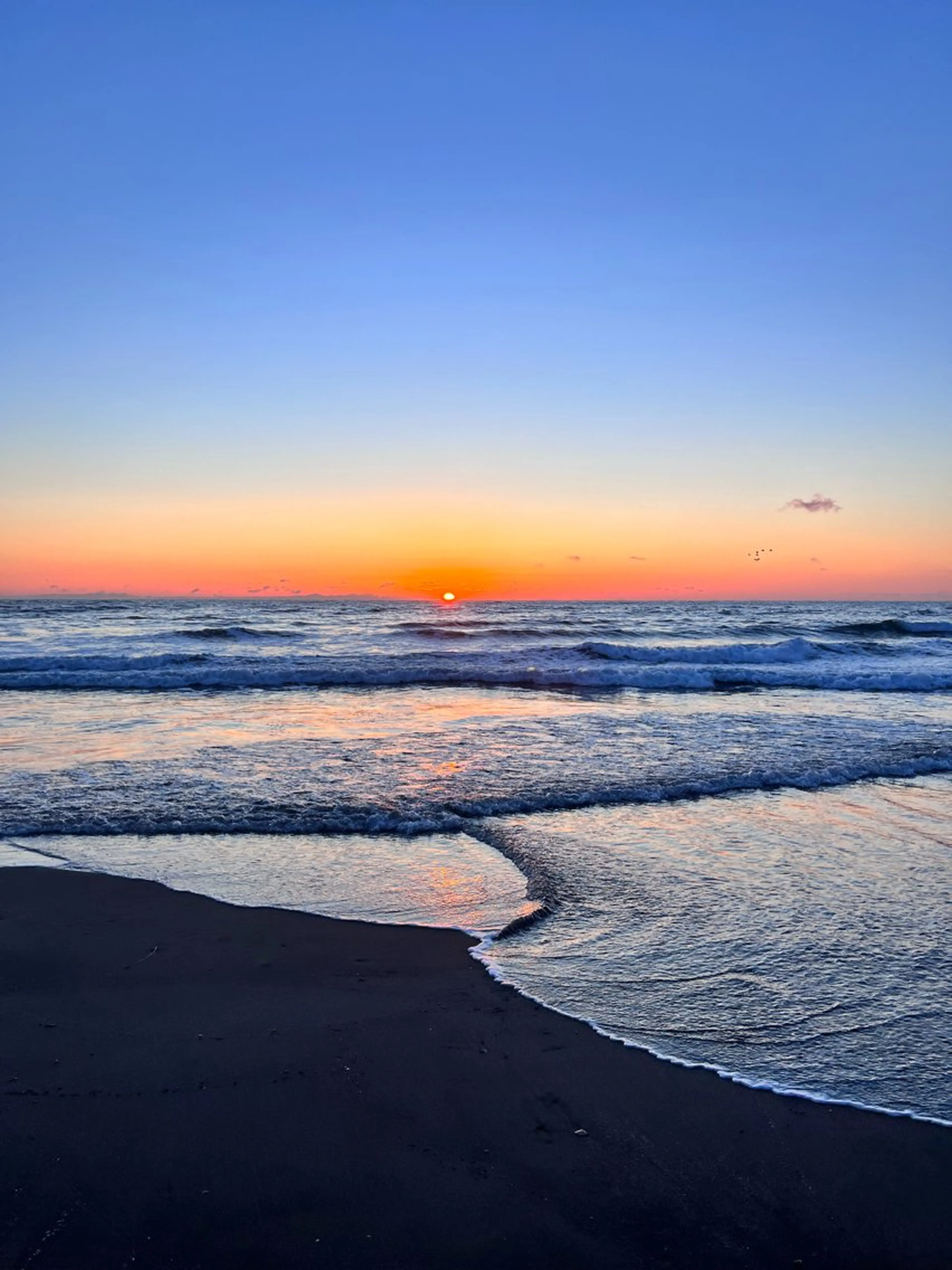 ∴Sanae. ∴ トータルビューティーのネイルデザイン