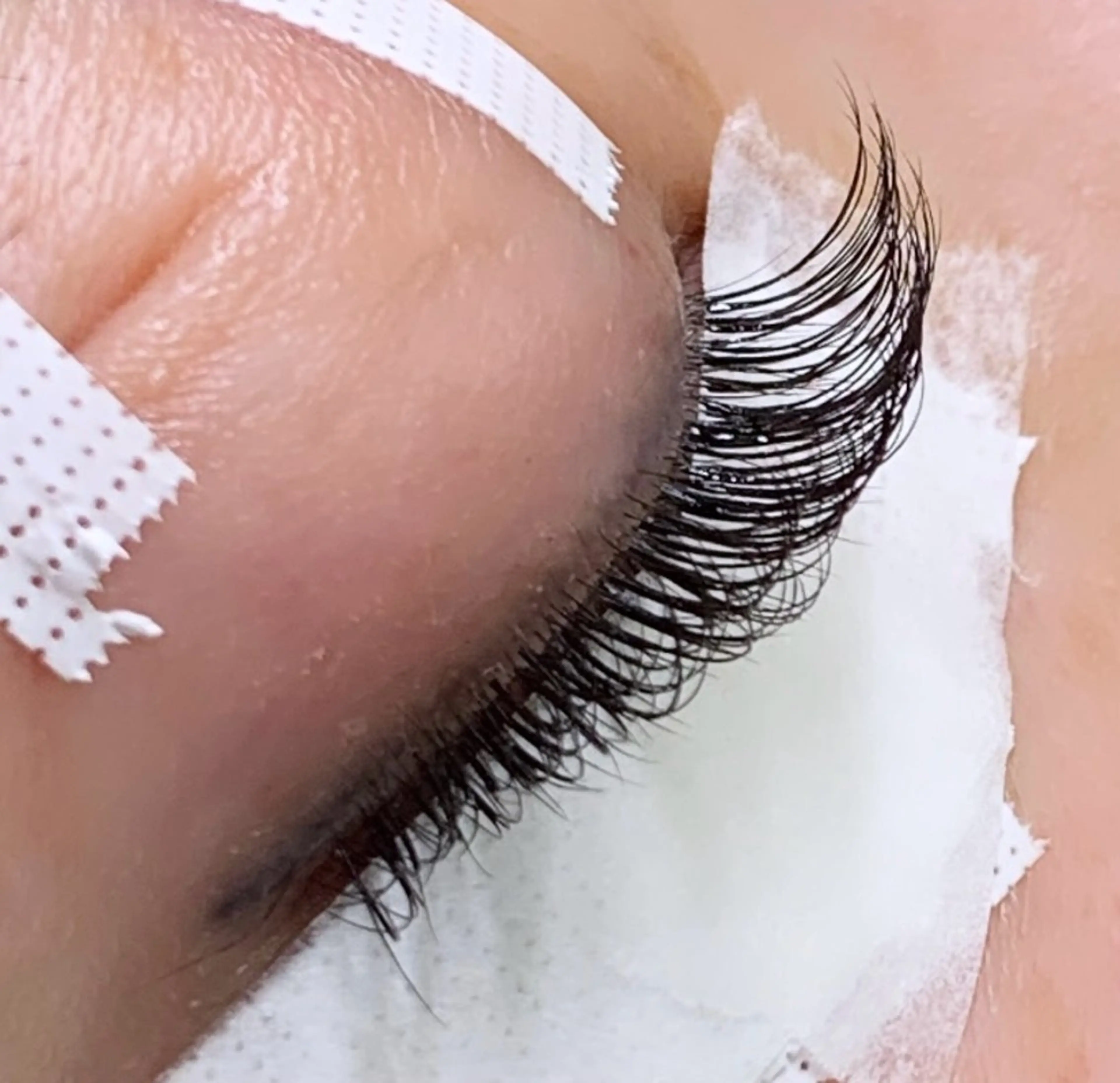 🌻ボリュームラッシュ120束の写真