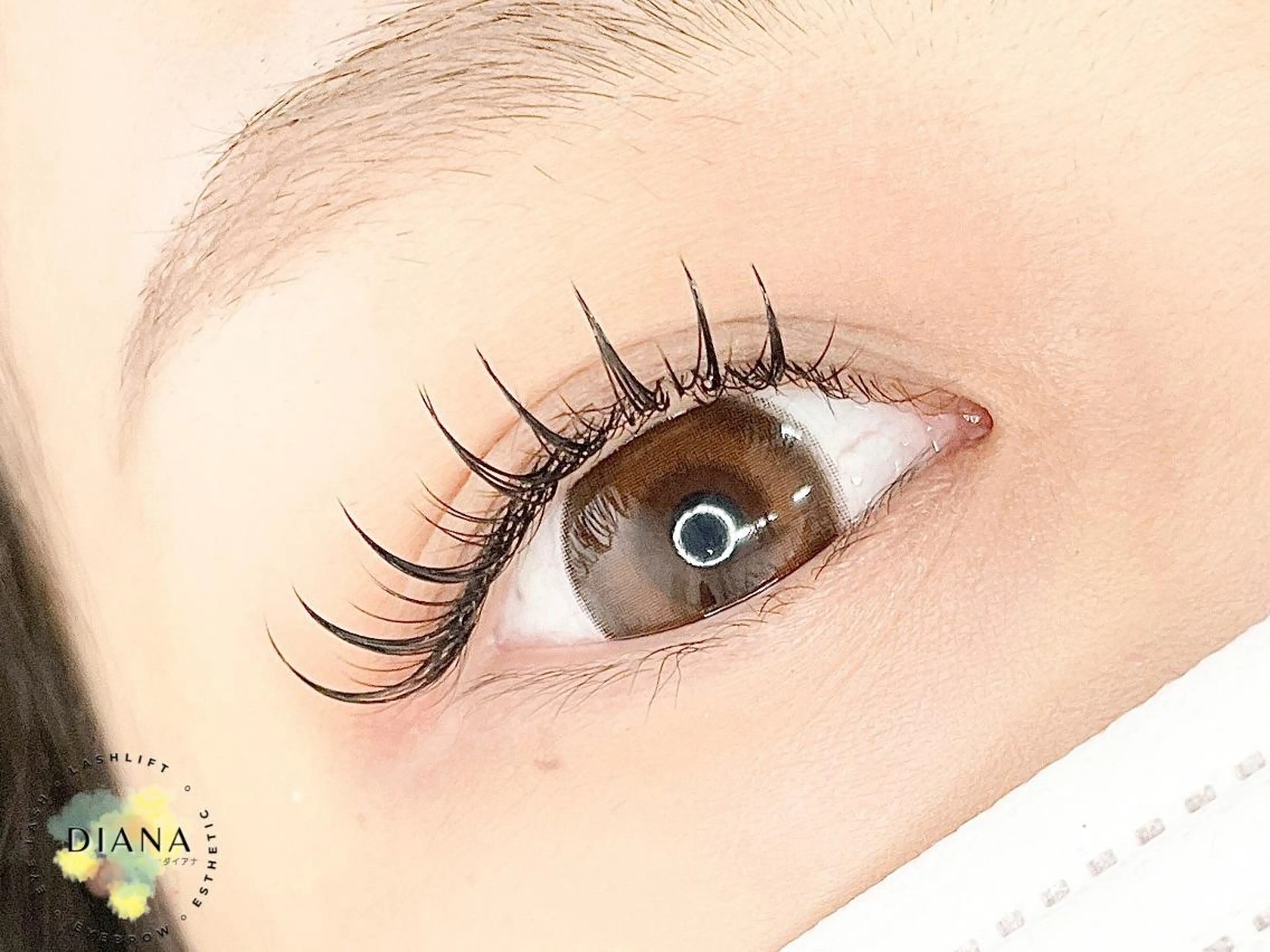 マツエク・マツパ ワンホンマツエク 眉毛&まつげ ☆Dianaの眉毛・アイブロウイメージ