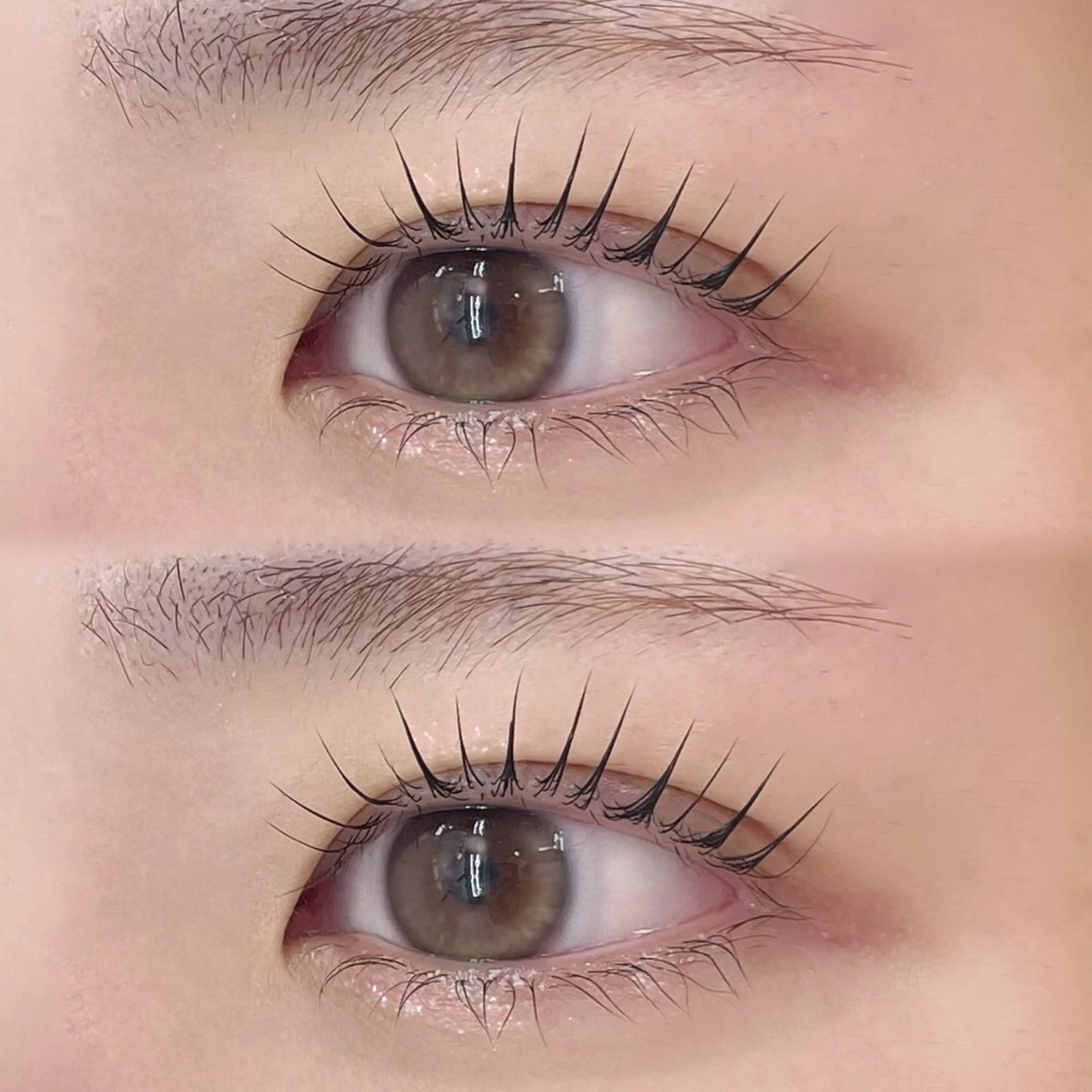 マツエク・マツパ まつげパーマ 下まつげエクステ Bianca大宮 ハルナೀ⋆⑅˚のマツエク・マツパデザイン