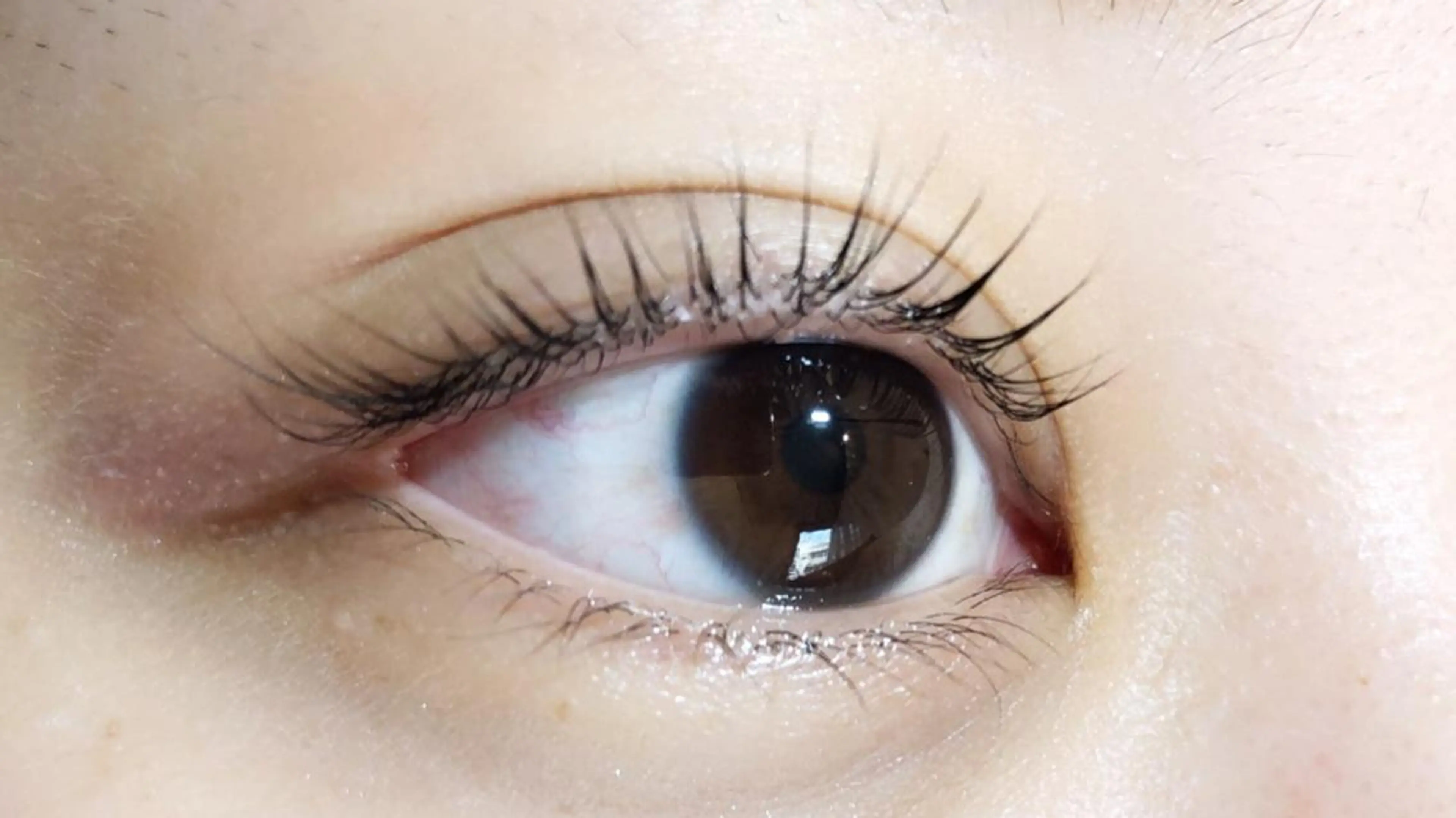 マツエク・マツパ パリジェンヌラッシュリフト Hair salon F所属・Ohtani Yukimiのマツエク・マツパデザイン