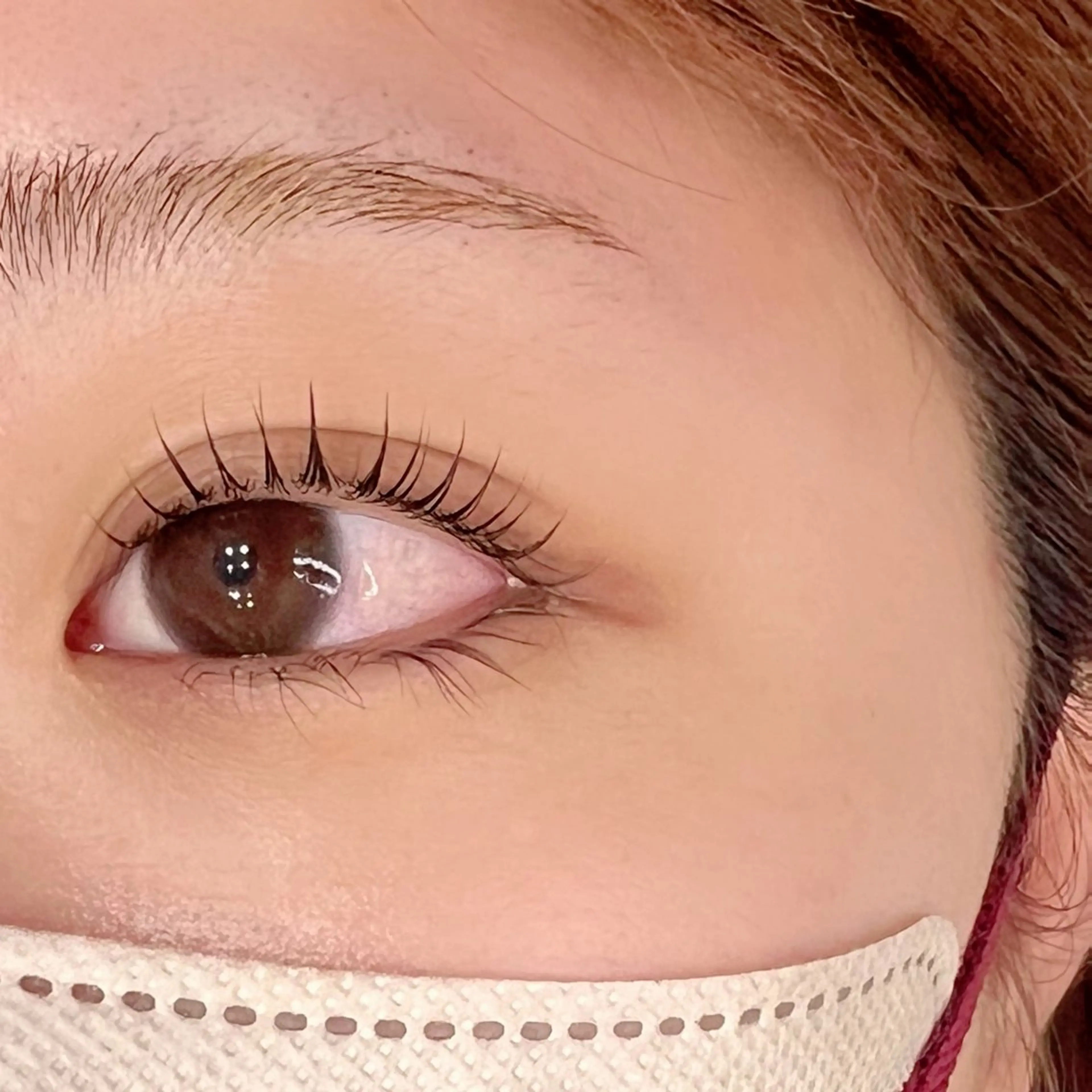 🌲12限定🌲束感まつ毛パーマ ¥3960の写真