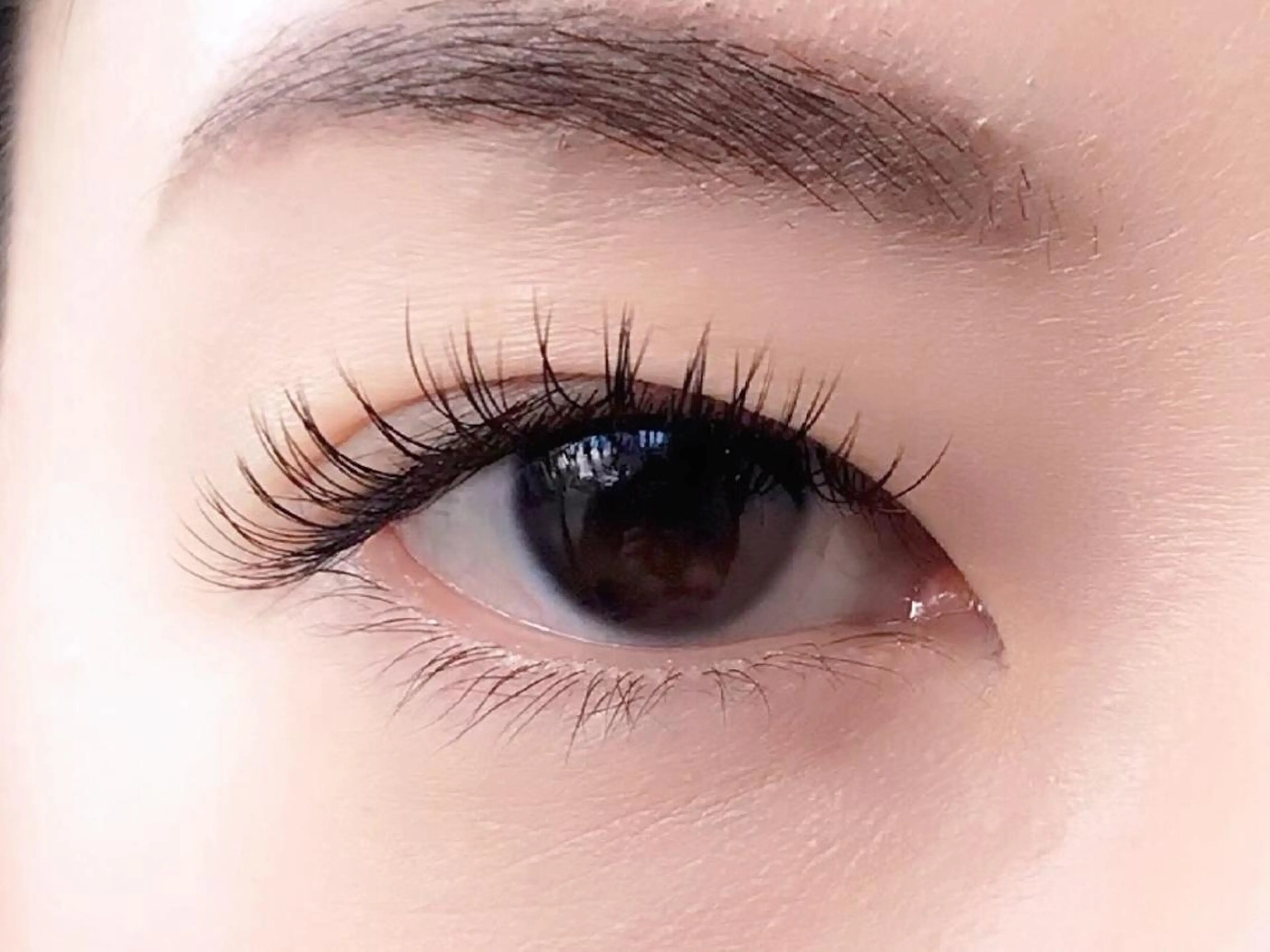 マツエク🌟新規限定🌟オフ込み《black》100本の写真