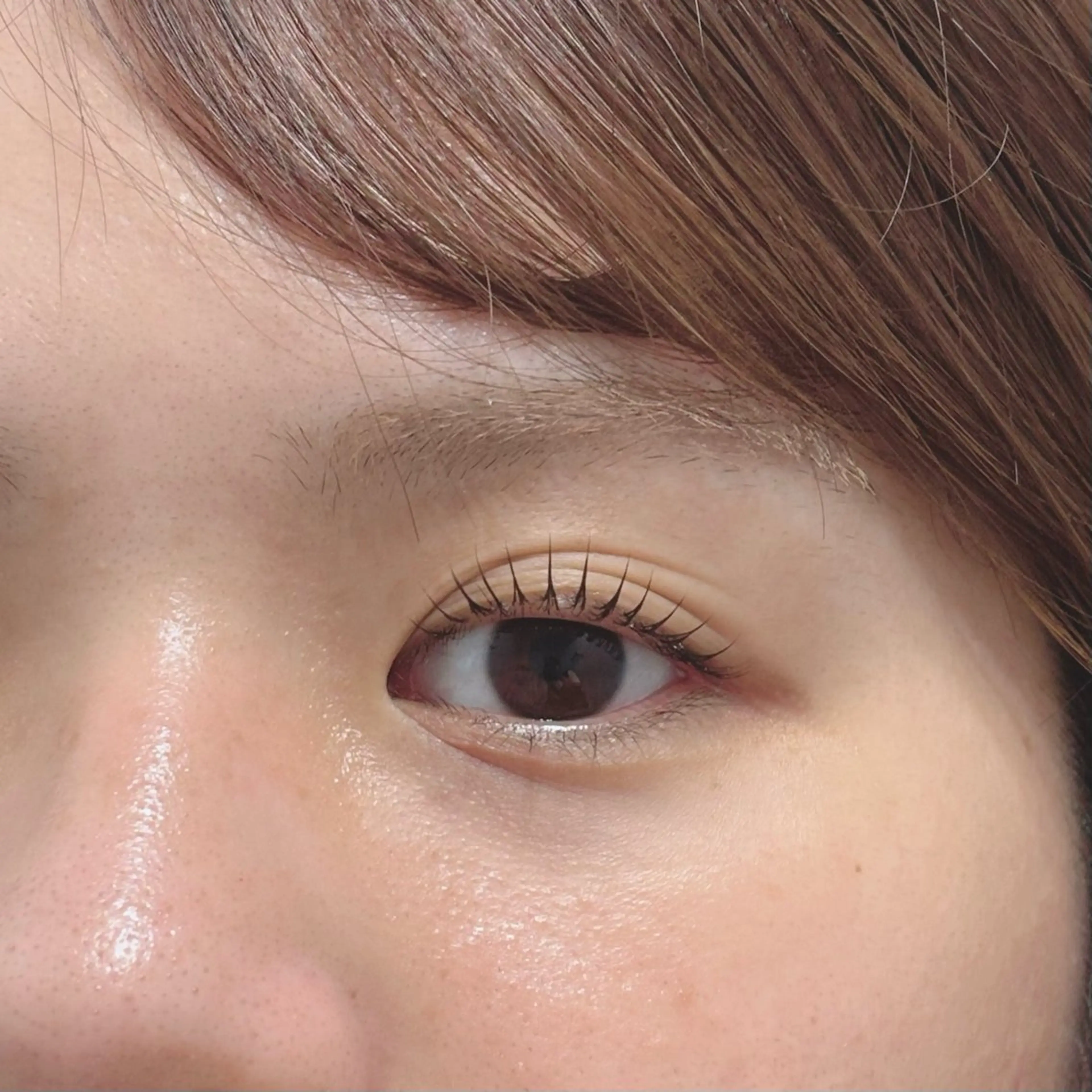 ラッシュリフト✖️アイブロウSET💓の写真