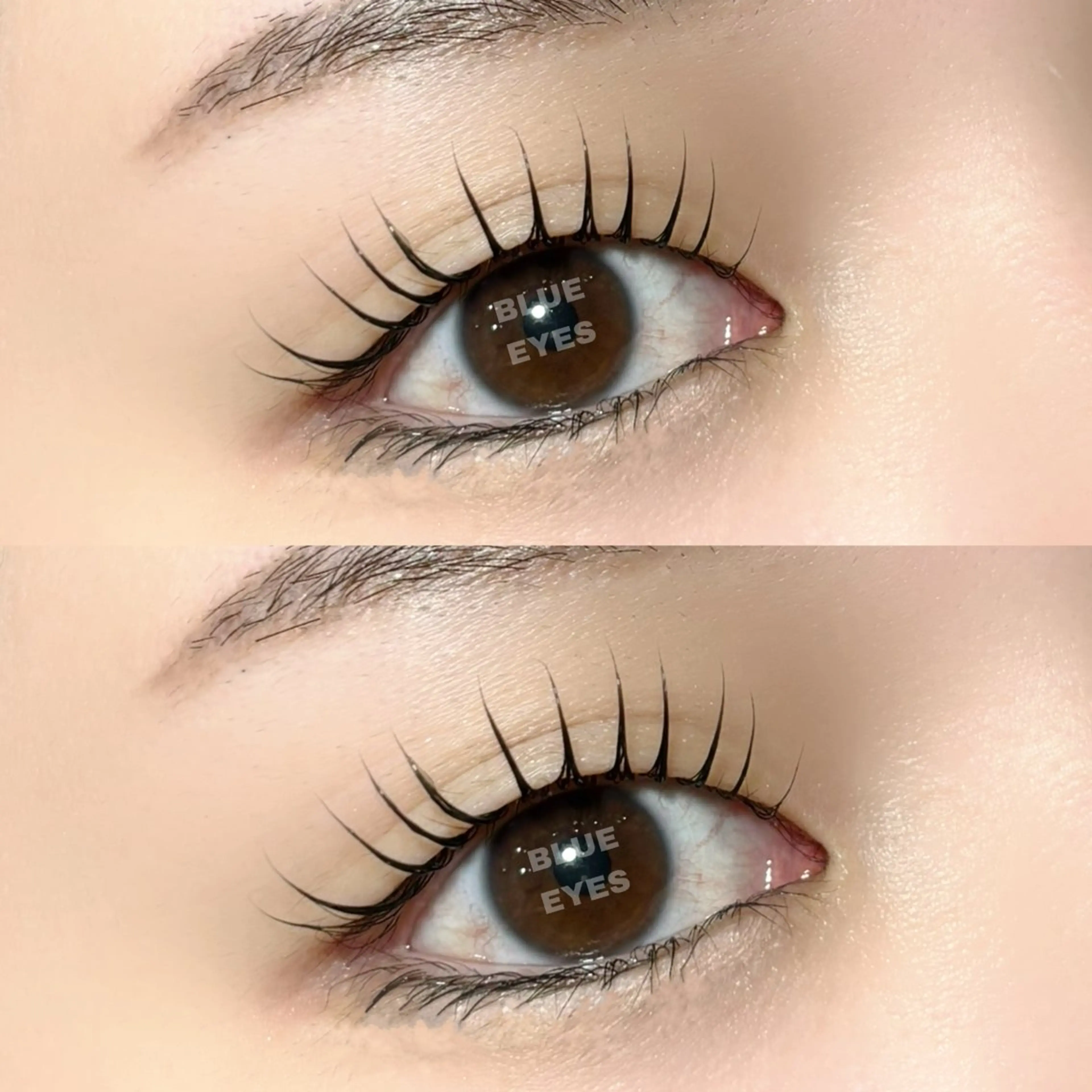 マツエク・マツパ パリジェンヌラッシュリフト mao 𓂃☽のマツエク・マツパデザイン