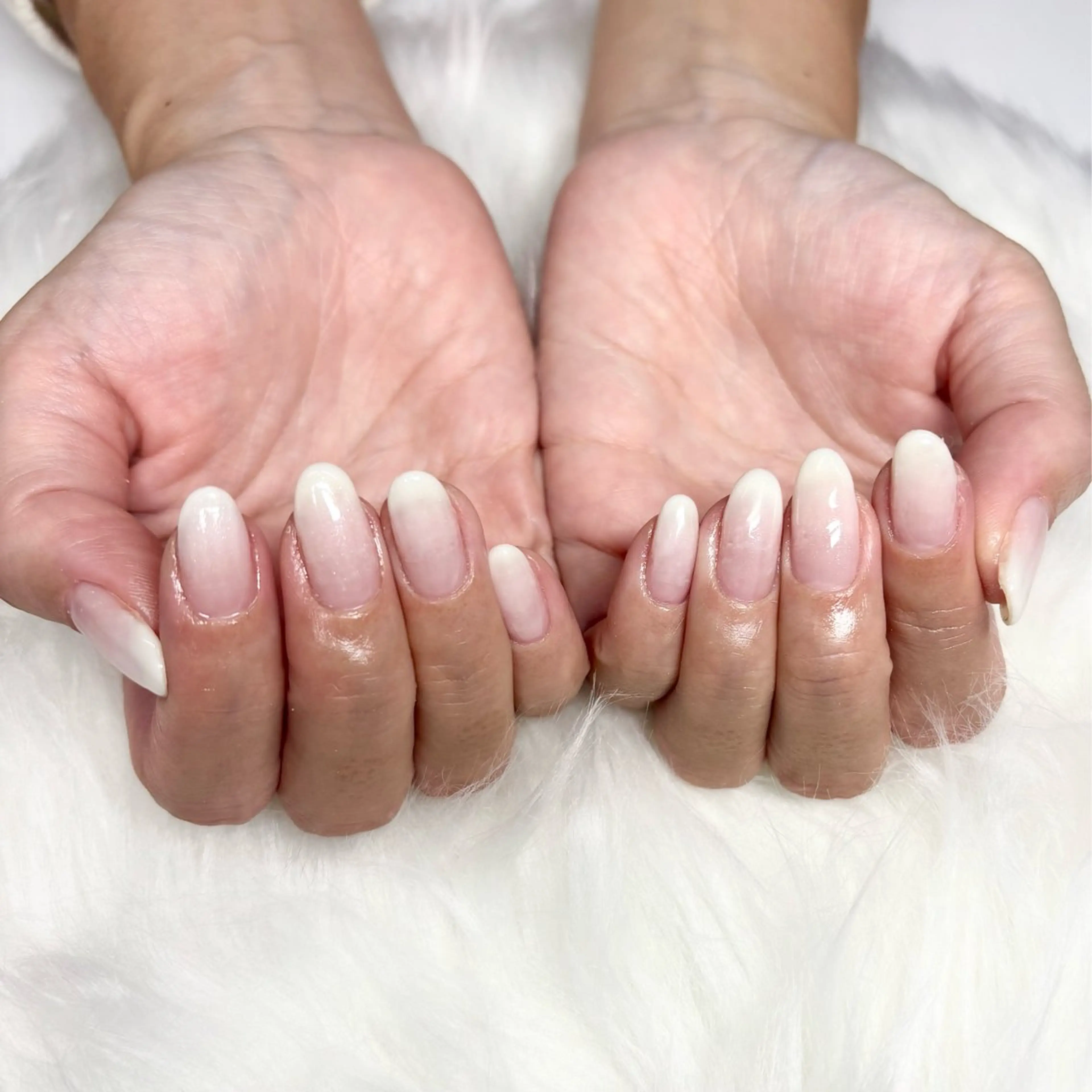 《オフ無料》ベイビーブーマー🐩🎀　練習モデル様募集中！の写真