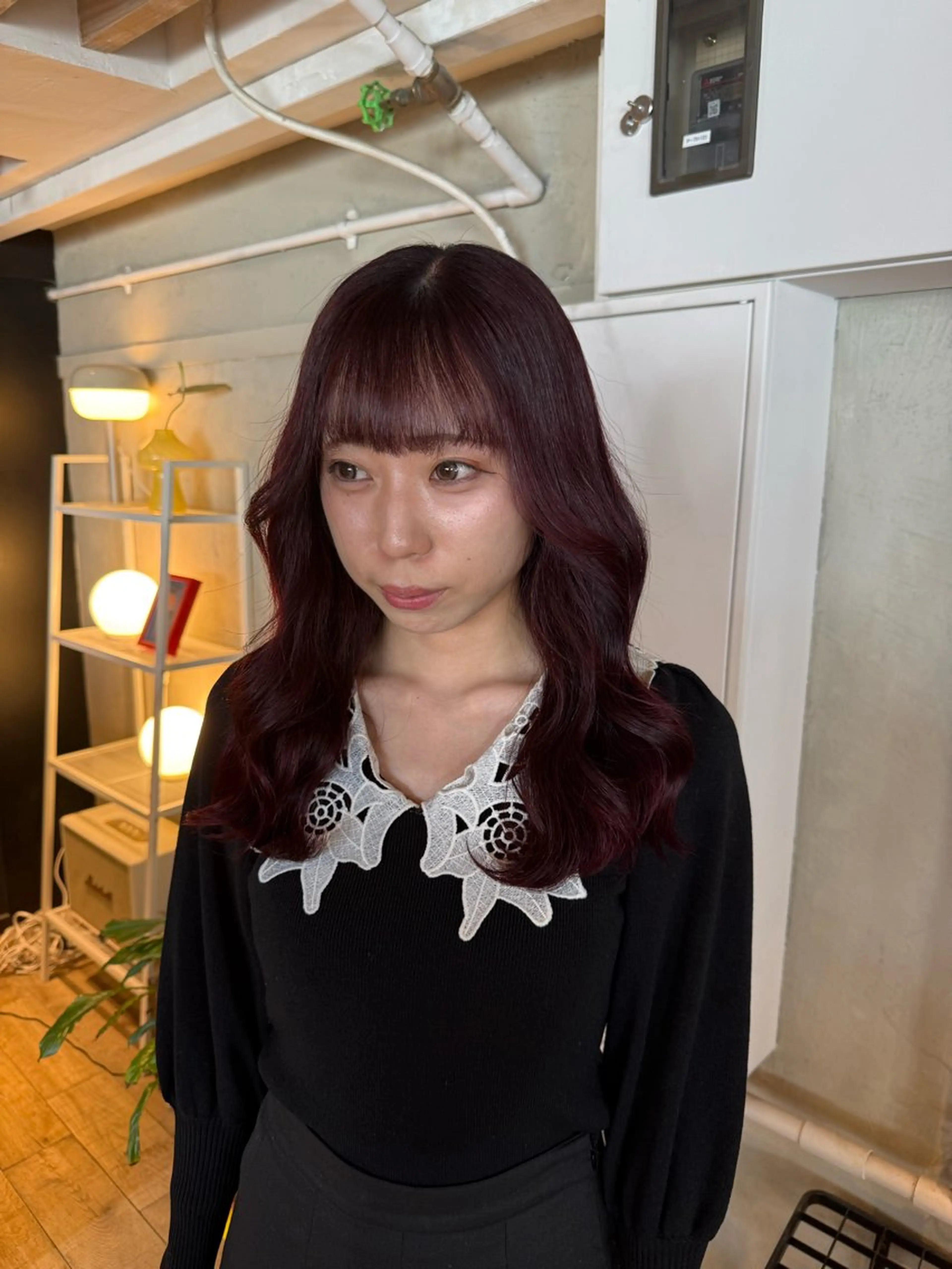 セミロング カラー ヘアアレンジ ヘアカラー トリートメント ヘアセット 海外/ハイトーン🪽 ☯️ami☯️のヘアスタイル