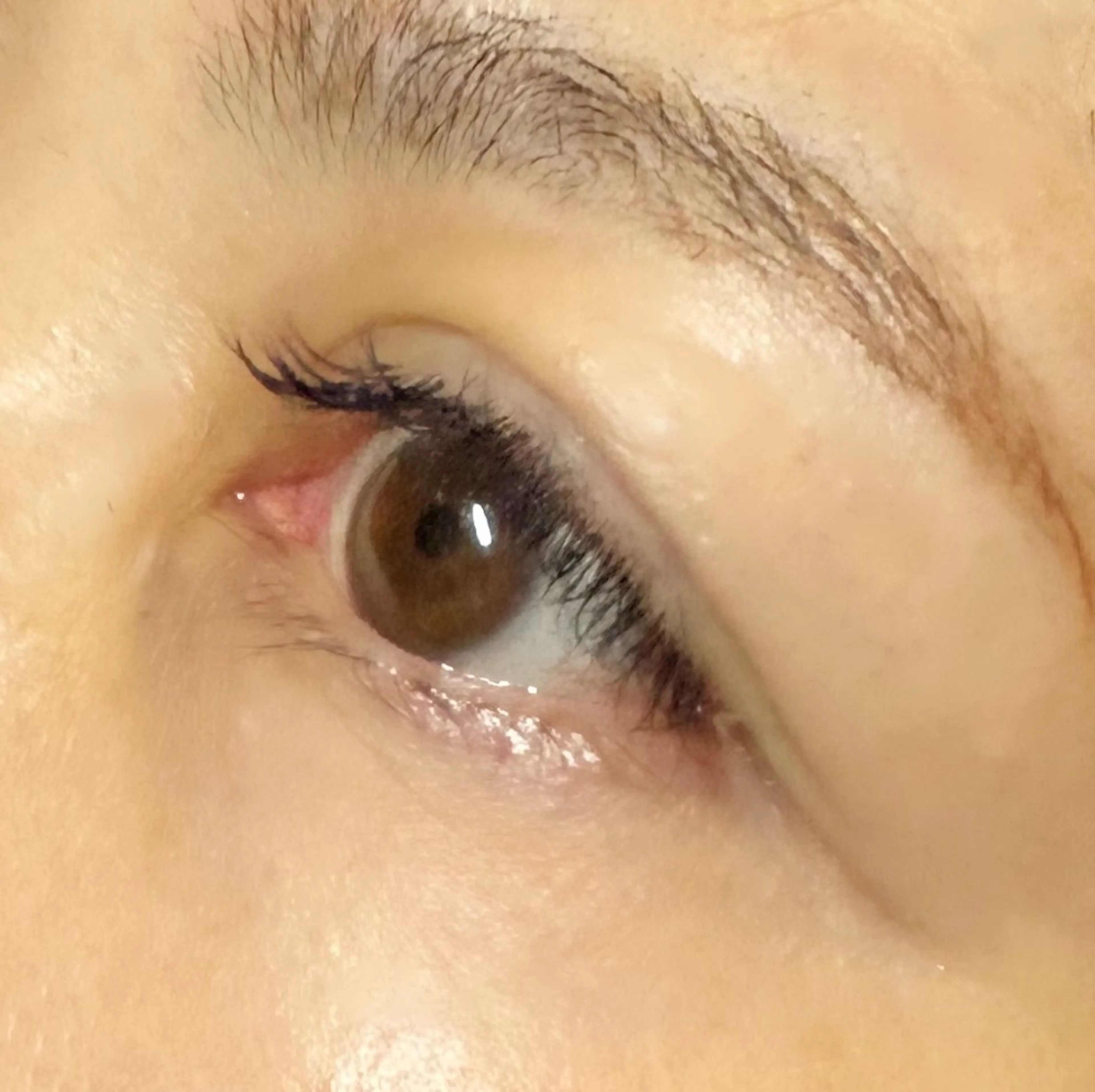 マツエク・マツパ 毛染め工房所属・まほ  平野/ 長吉六反/喜連瓜破のマツエク・マツパデザイン