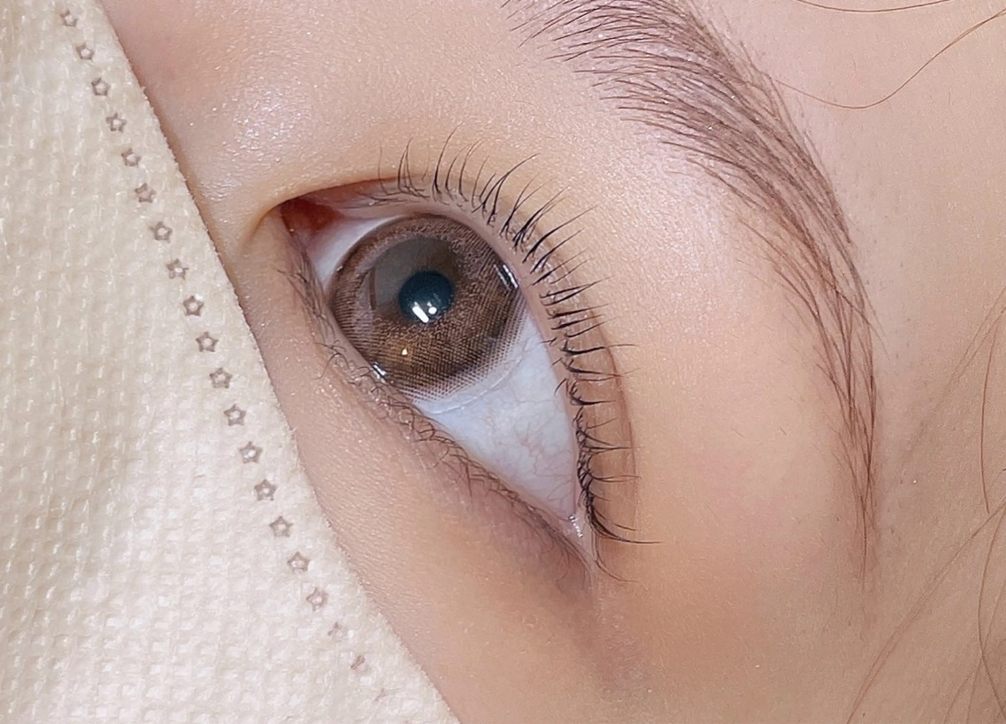 ✨️今話題✨️メーテルラッシュリフト👀　ケラチンTR付き☆(再来＋￥1000)の写真