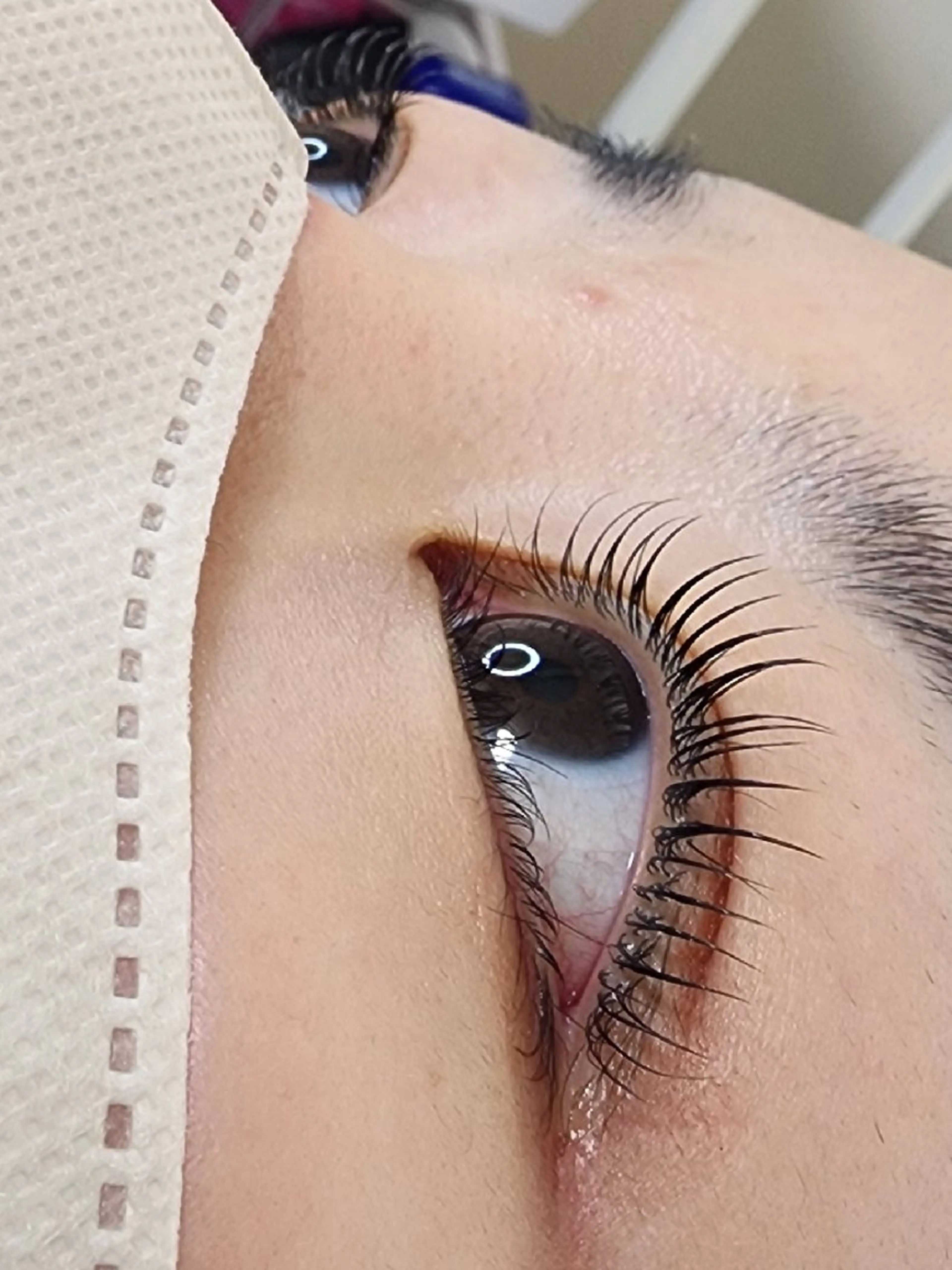 上まつげパーマの写真