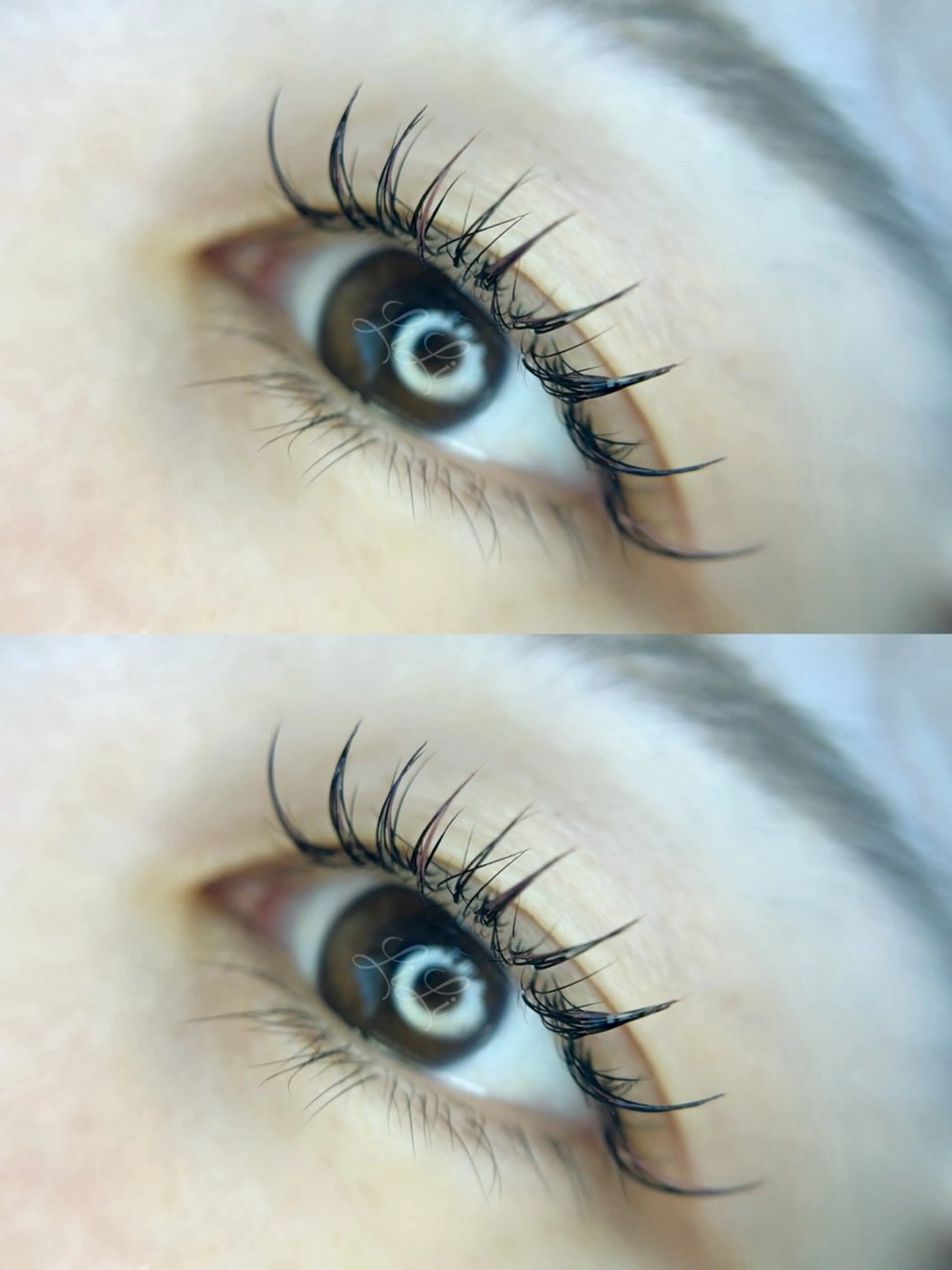 マツエク・マツパ カラーマツエク まつげエクステLiLi所属・まつげエクステ LiLiのマツエク・マツパデザイン