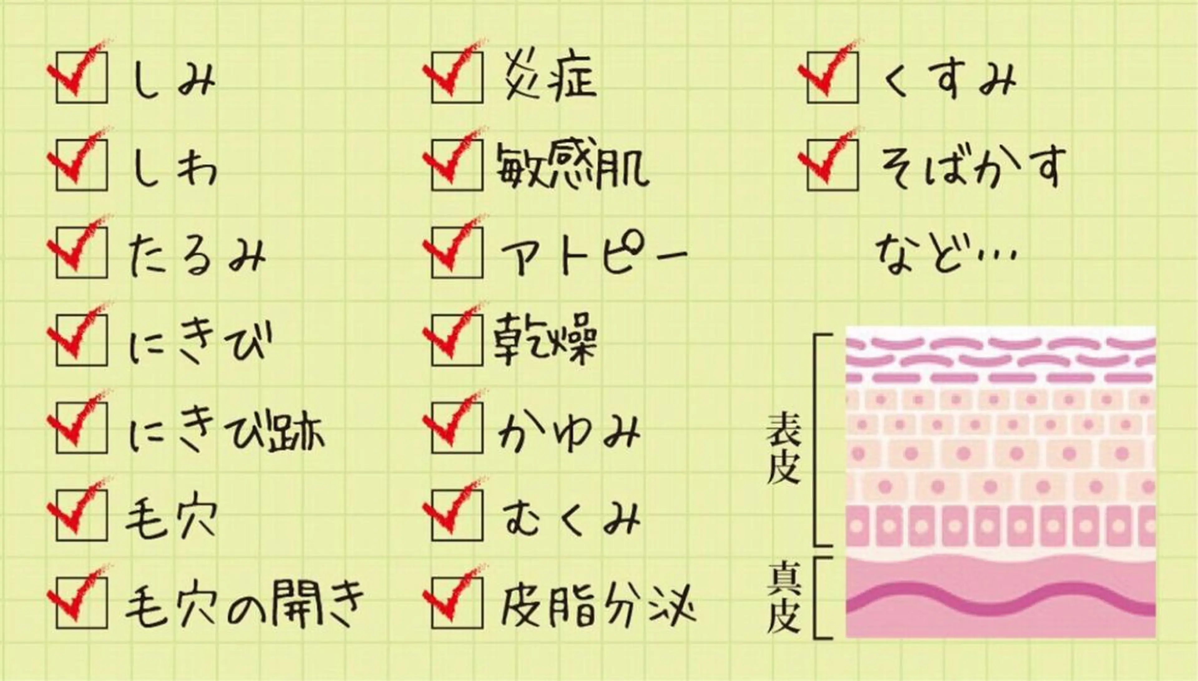 エステ 脱毛&シェービング専門店 心斎橋所属・脱毛&シェービング 専門店LUANAのエステ・リラクイメージ