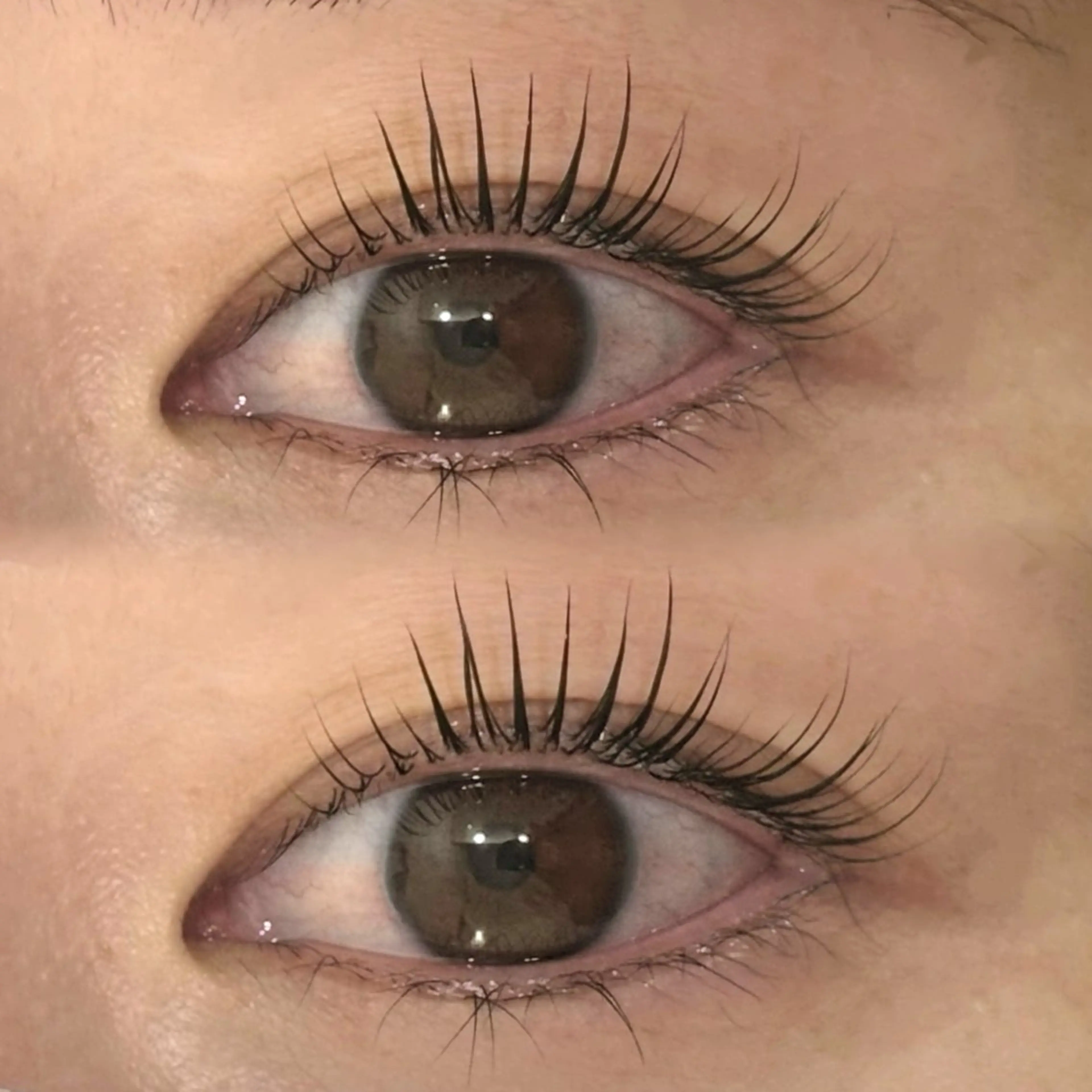 🍎まつ毛パーマ Cカール🍎の写真