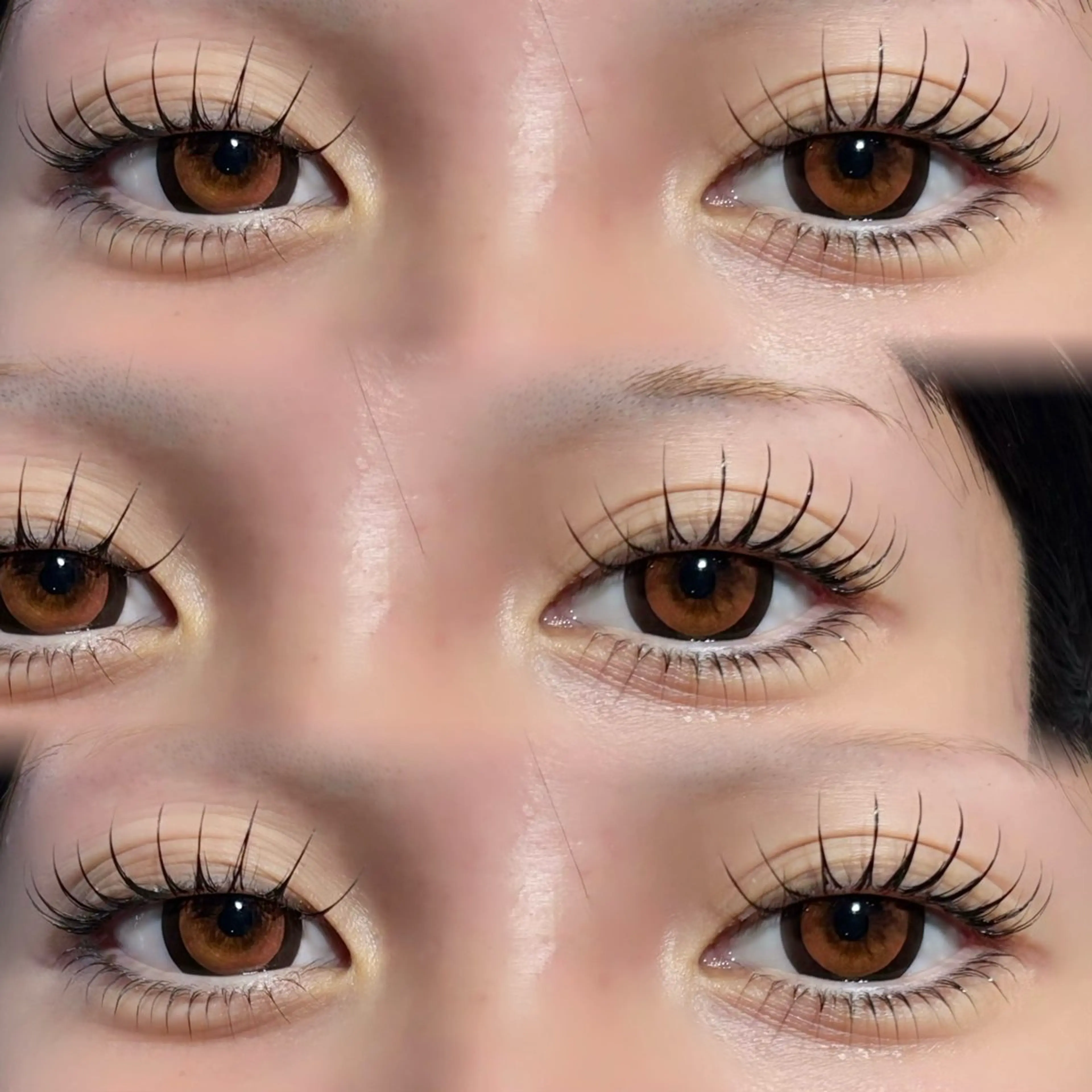 🩷バインドロック🩷80束の写真