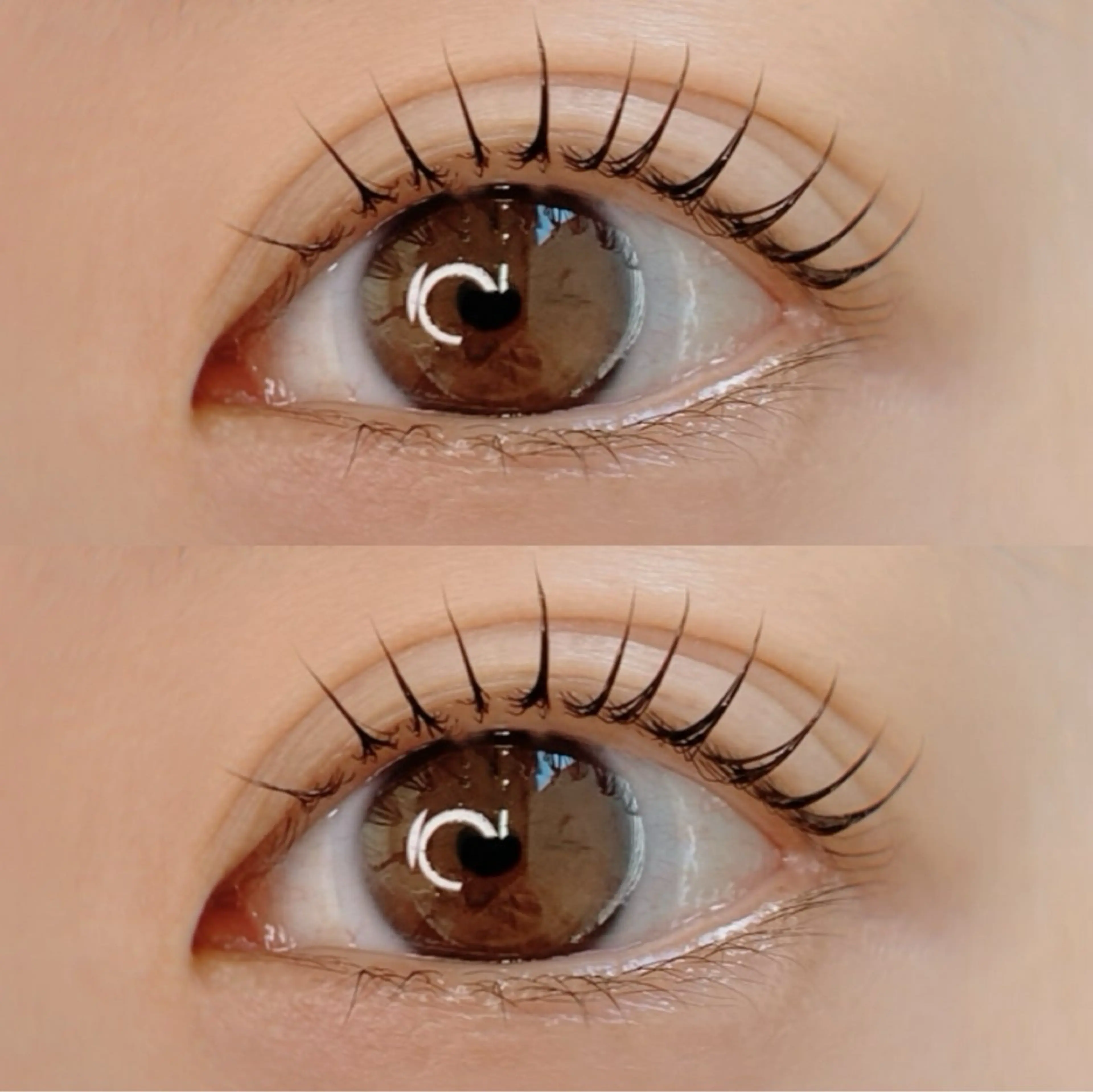 パリジェンヌラッシュリフトorまつ毛パーマの写真