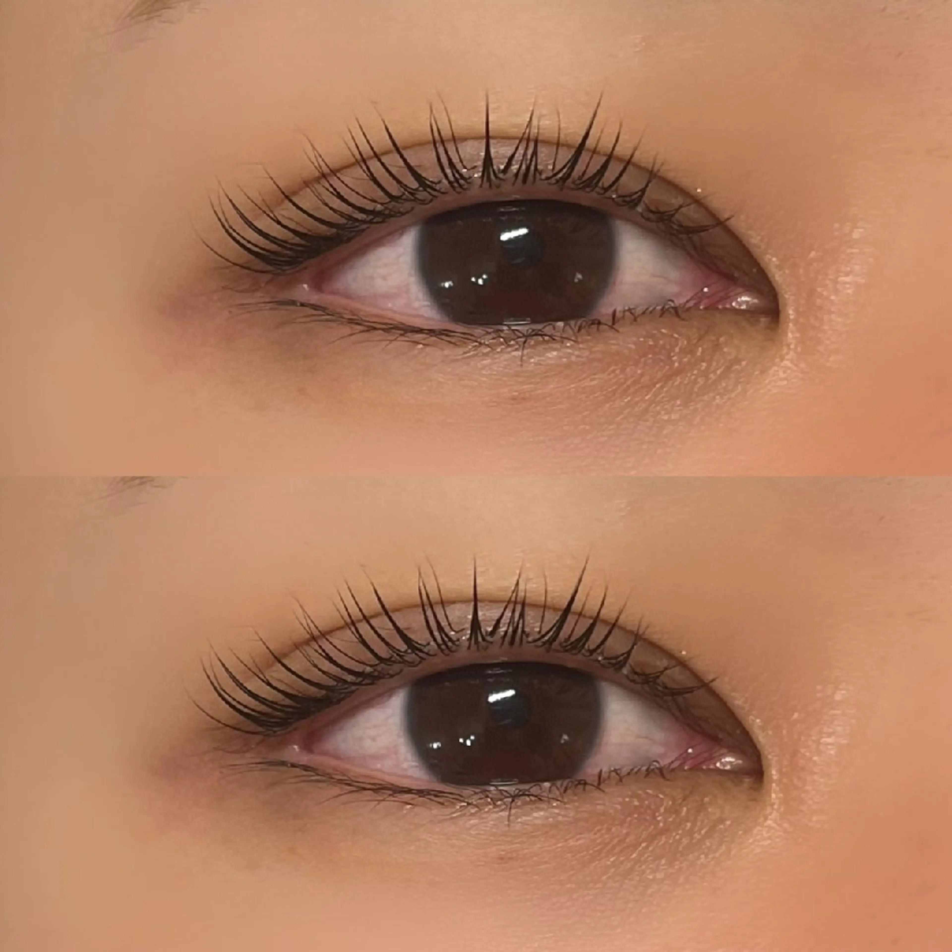 マツエク・マツパ ネイル　アイブロウ Behindの眉毛・アイブロウイメージ