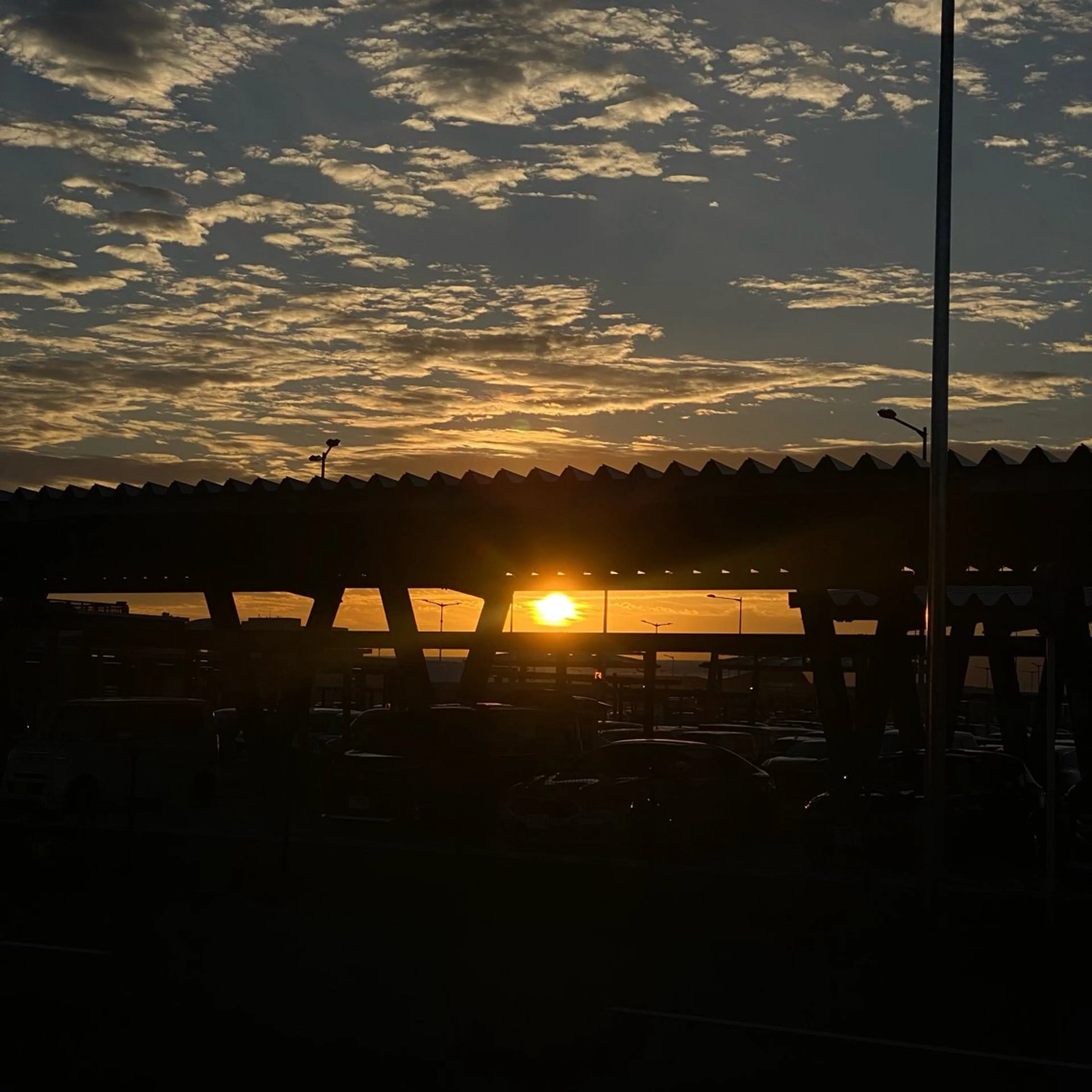 nano/きもかわ nail🐬🫧のネイルデザイン