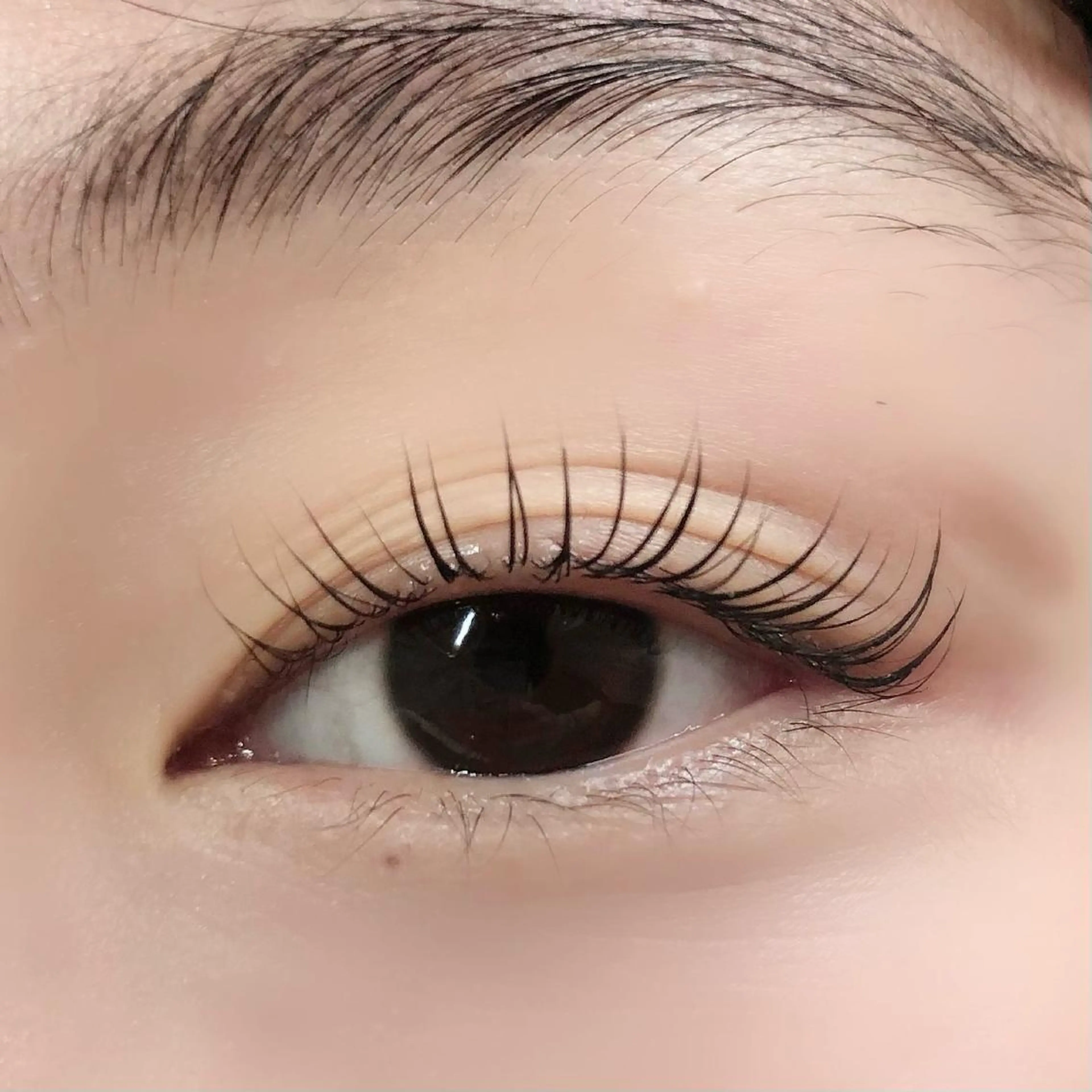 マツエク・マツパ Arms 鶴見のマツエク・マツパデザイン