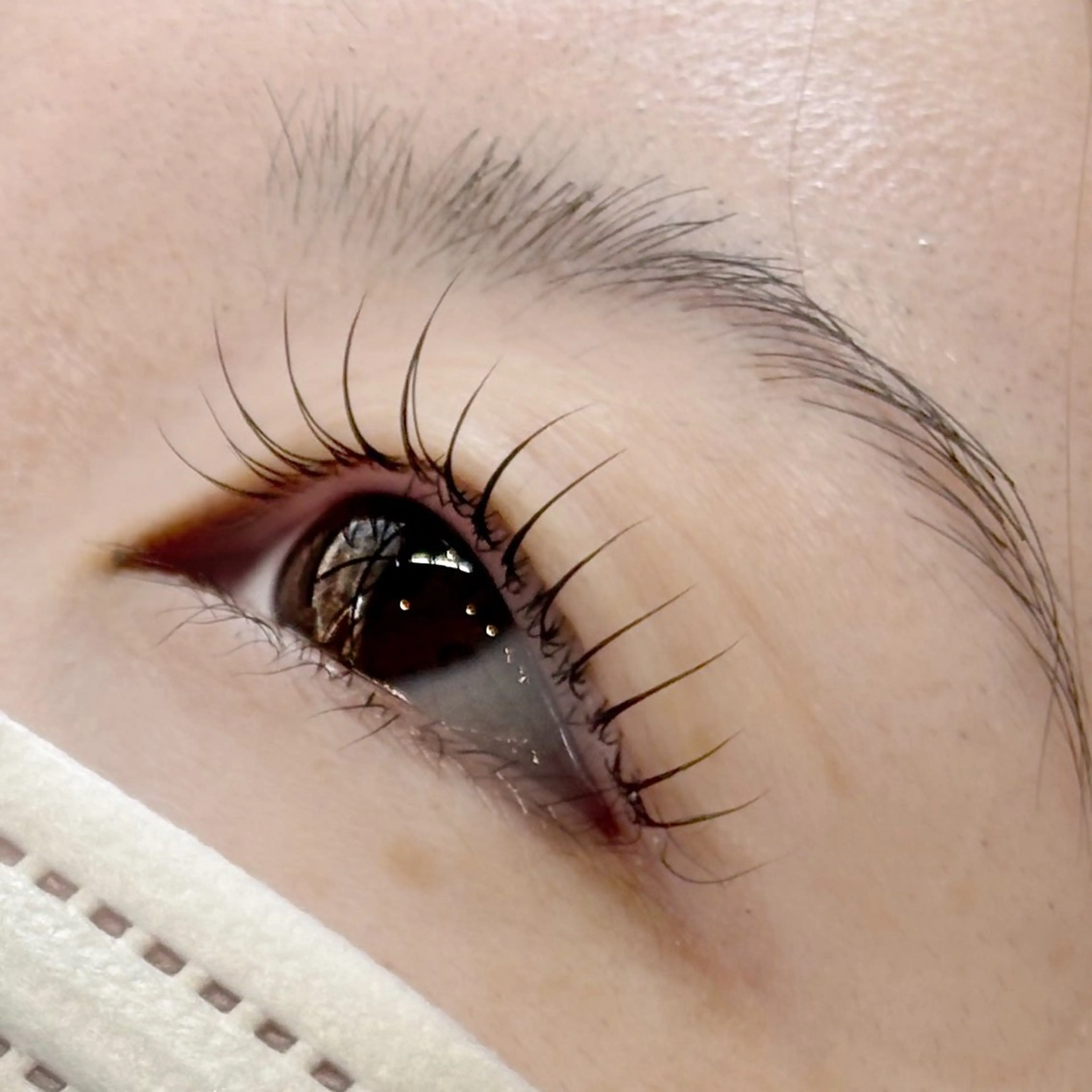 マツエク・マツパ パリジェンヌラッシュリフト マツパ lino eyelash&eyebrow淡路店所属・【lino】 Reina🎀のマツエク・マツパデザイン