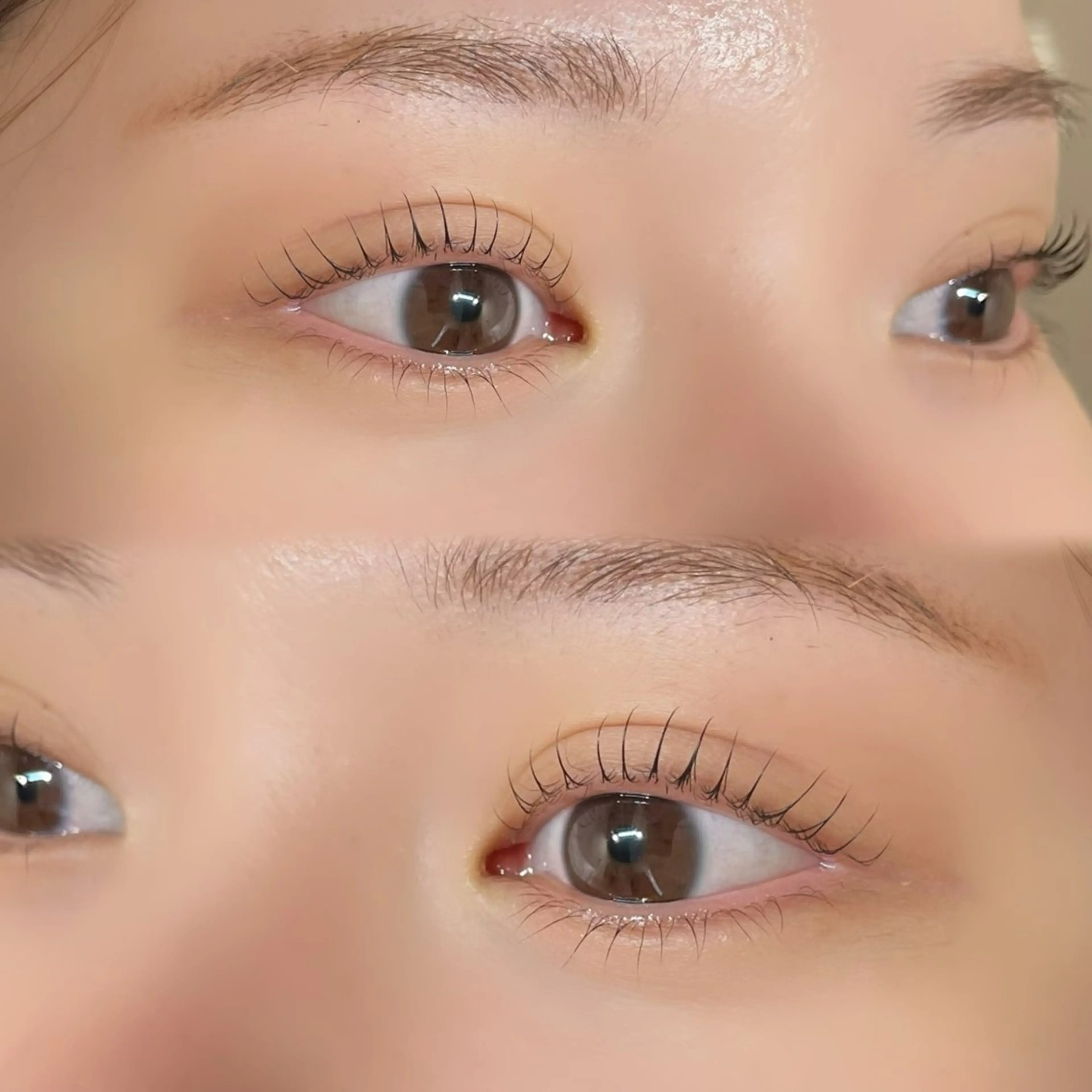 マツエク・マツパ まつげパーマ 下まつげエクステ マツパ Marina🤍名駅 /マツエク/まつぱのマツエク・マツパデザイン