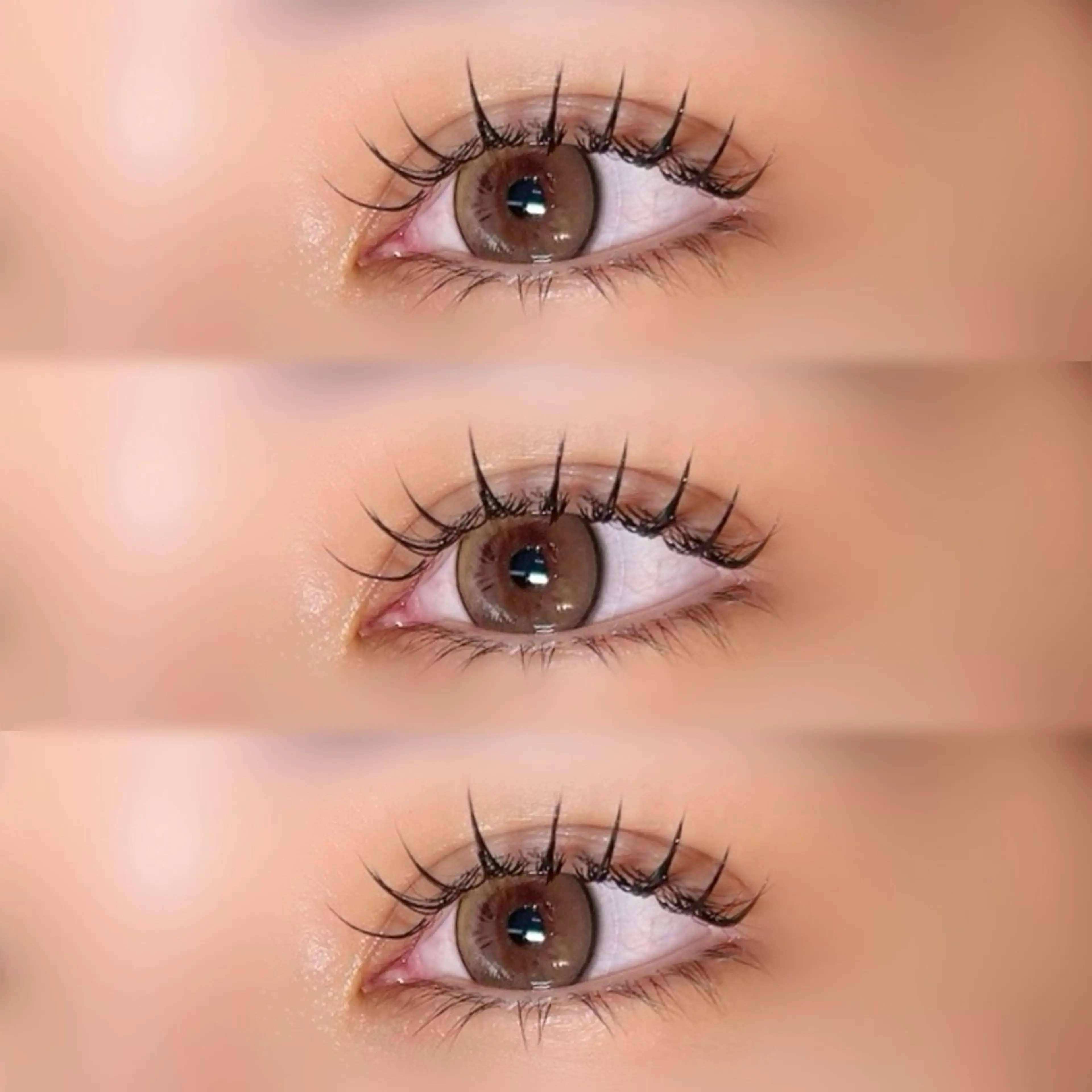 フラットラッシュ 140本の写真