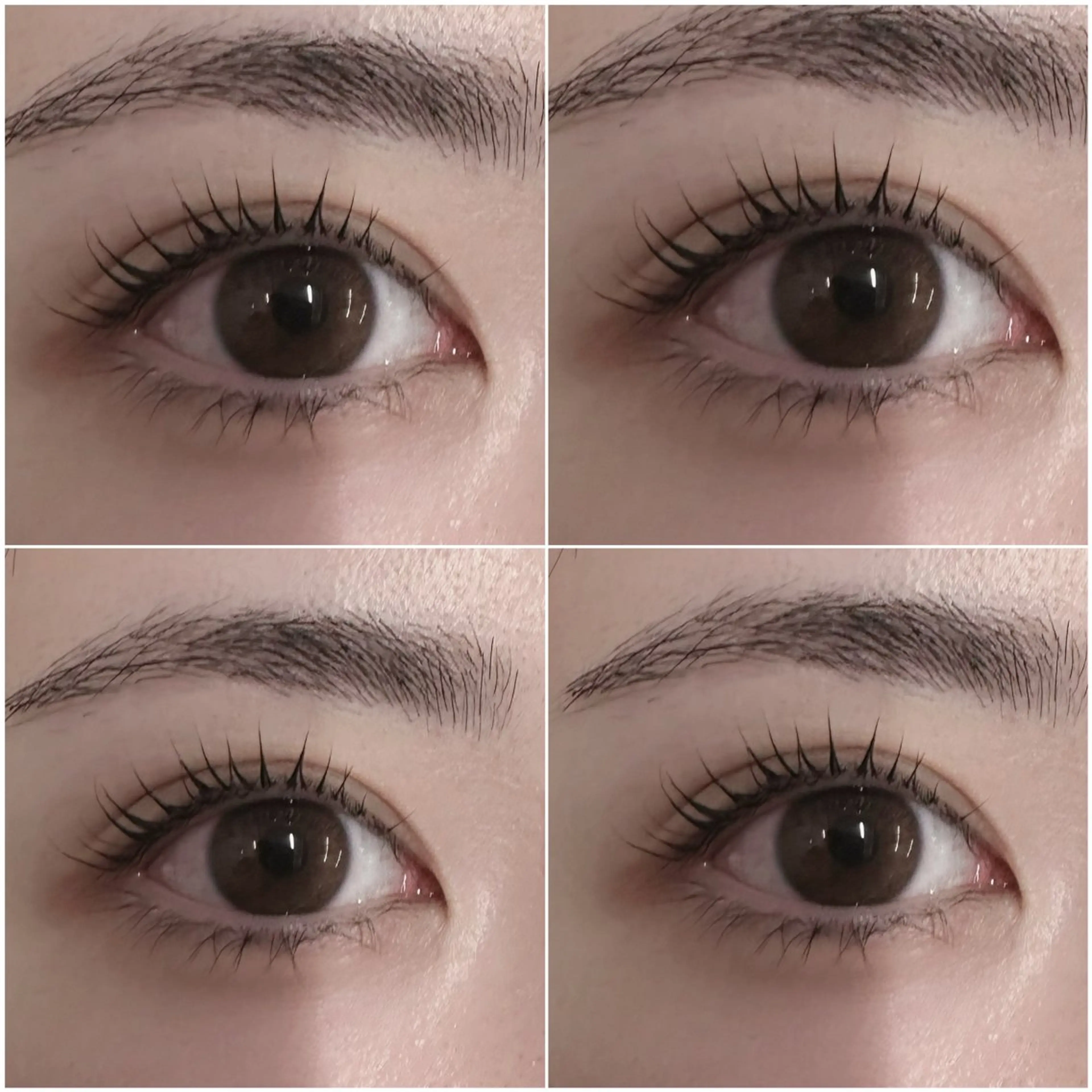 マツエク・マツパ ネモア久留米店 🌼AYUMI🌼のマツエク・マツパデザイン