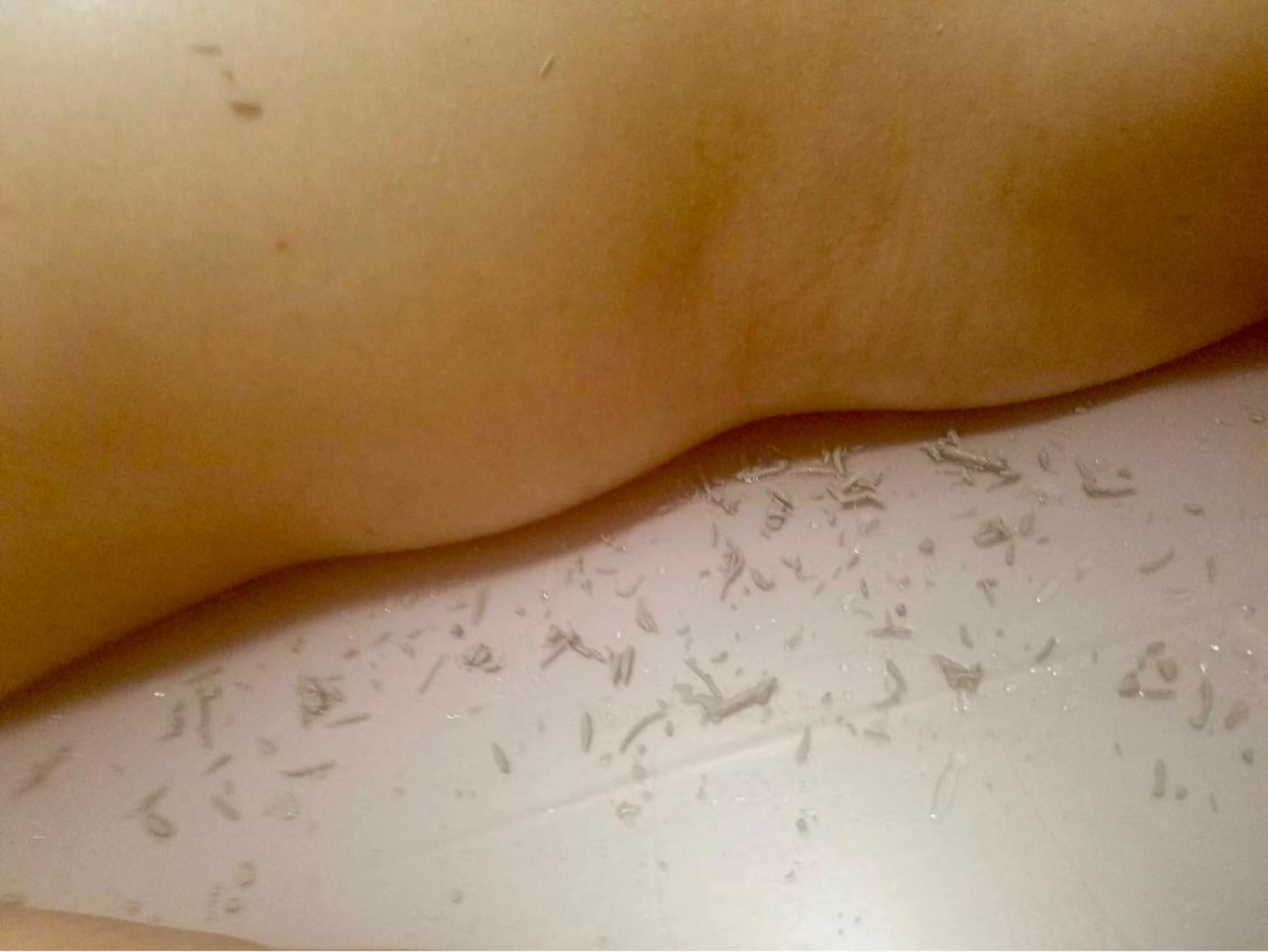 健康 工房のマツエク・マツパデザイン