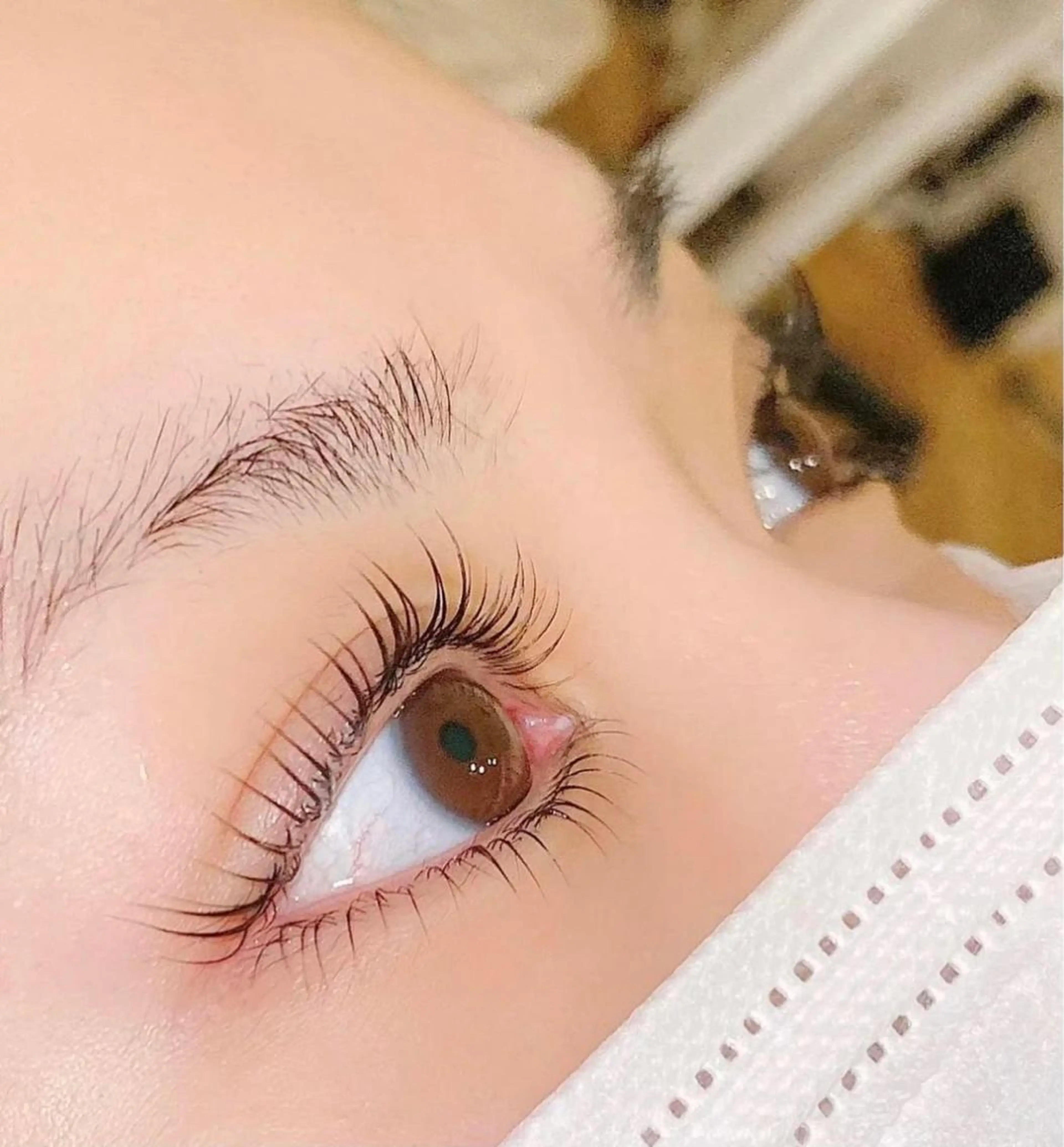 🩷新生活応援まつげパーマラッシュリフト上下の写真