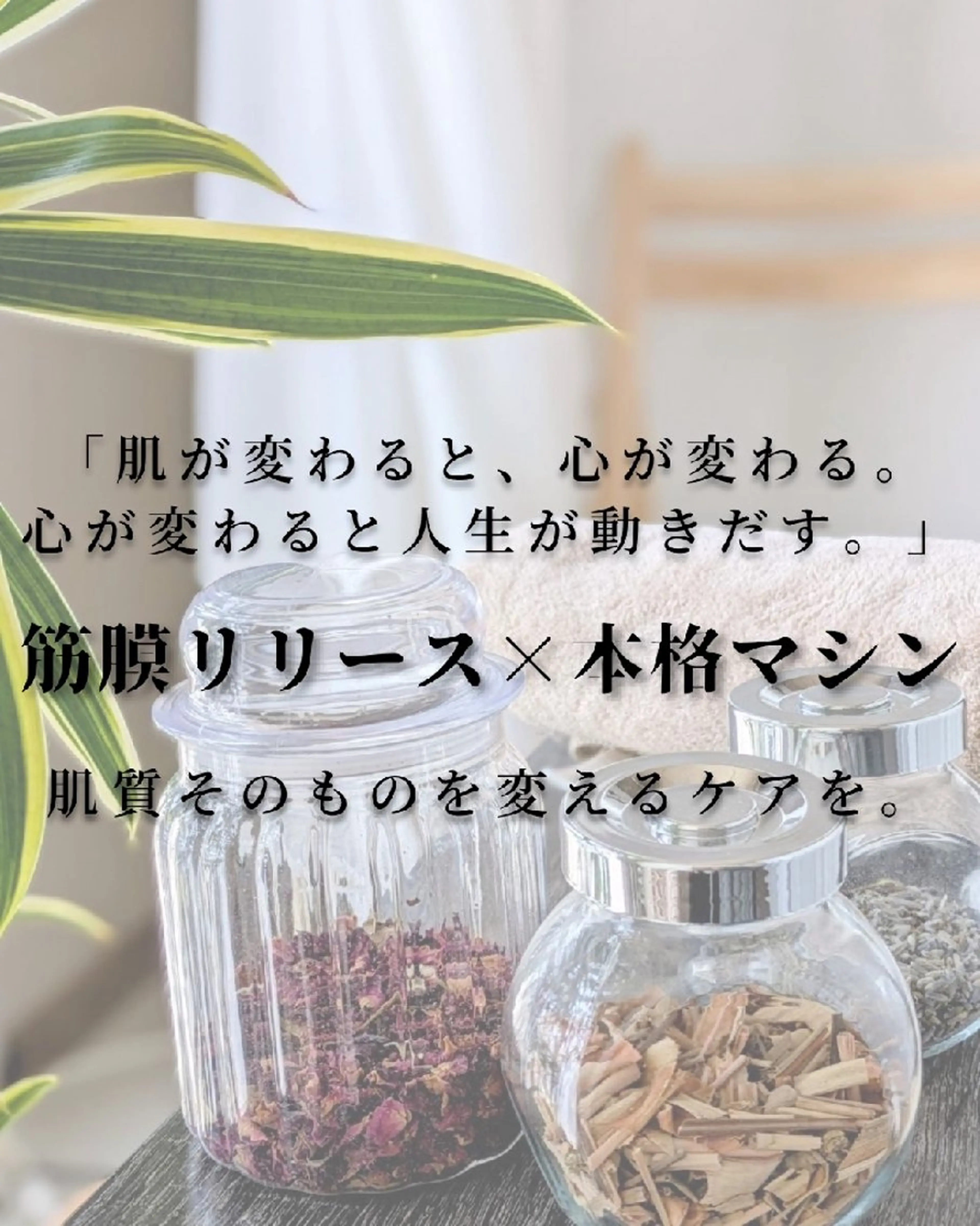 オーガニックエステ Shalom5のエステ・リラクイメージ