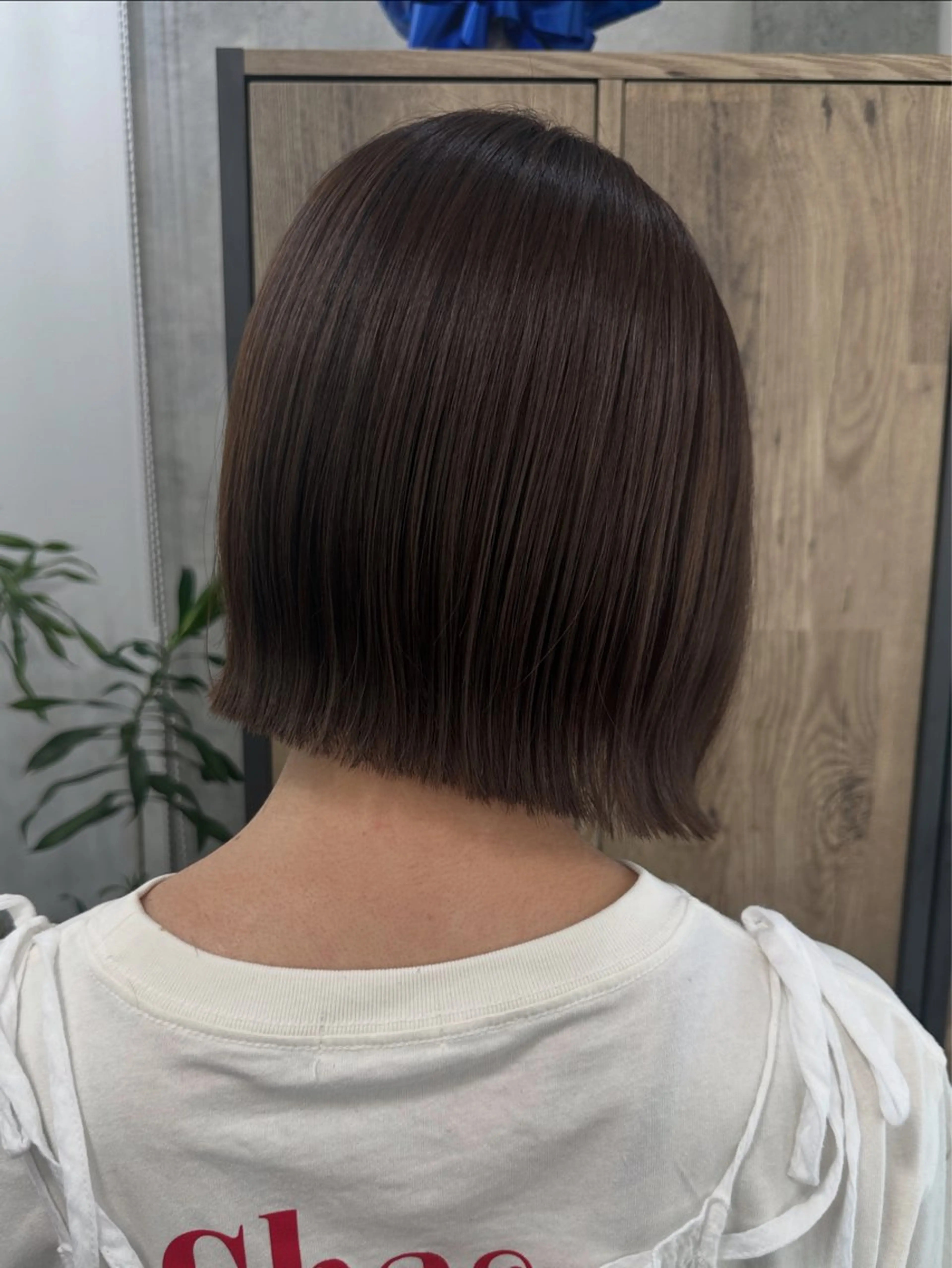 カット＋艶カラー＋5stepトリートメント💎の写真