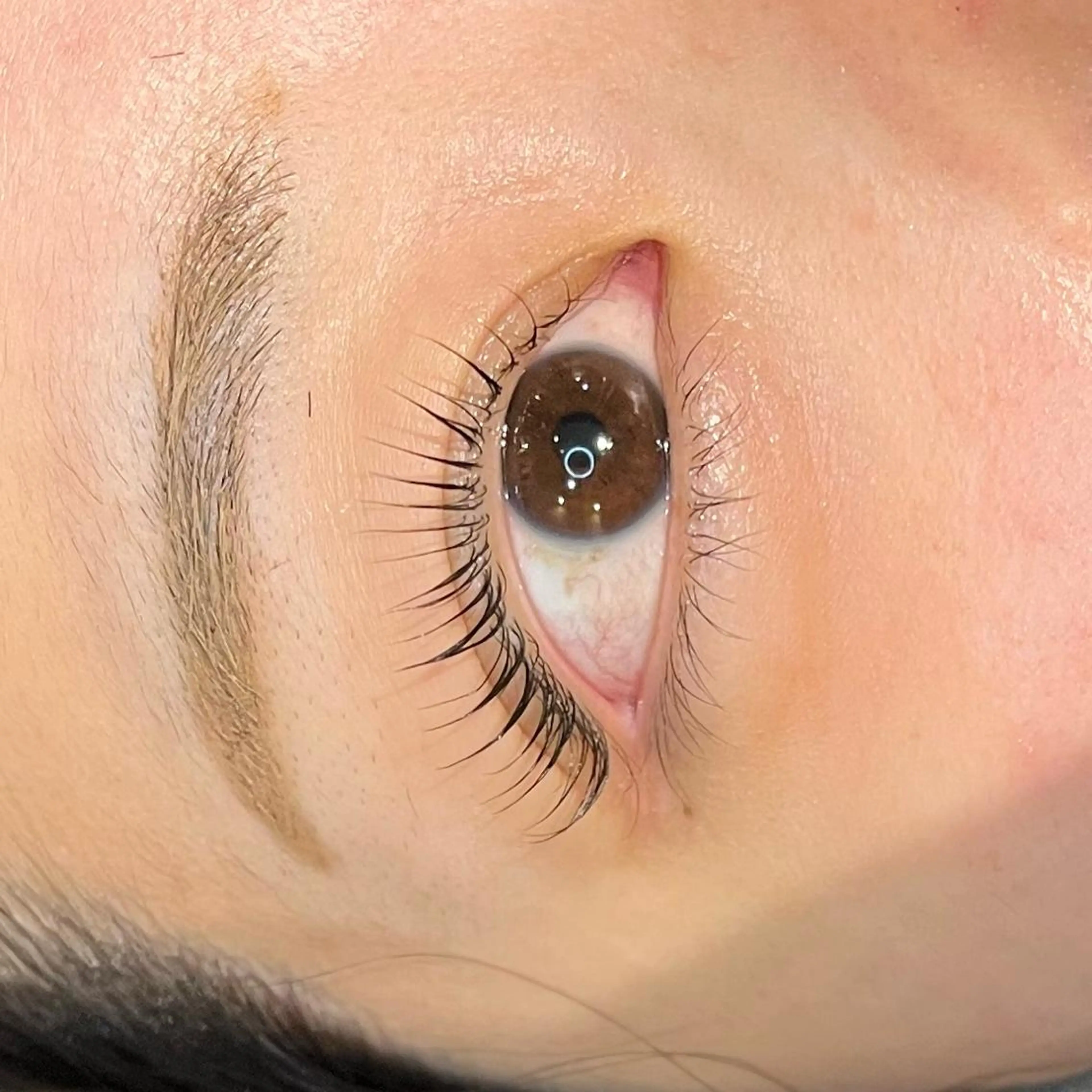 マツエク・マツパ 束感まつ毛 千恵☀️ マツエク/マツパ☀️のマツエク・マツパデザイン