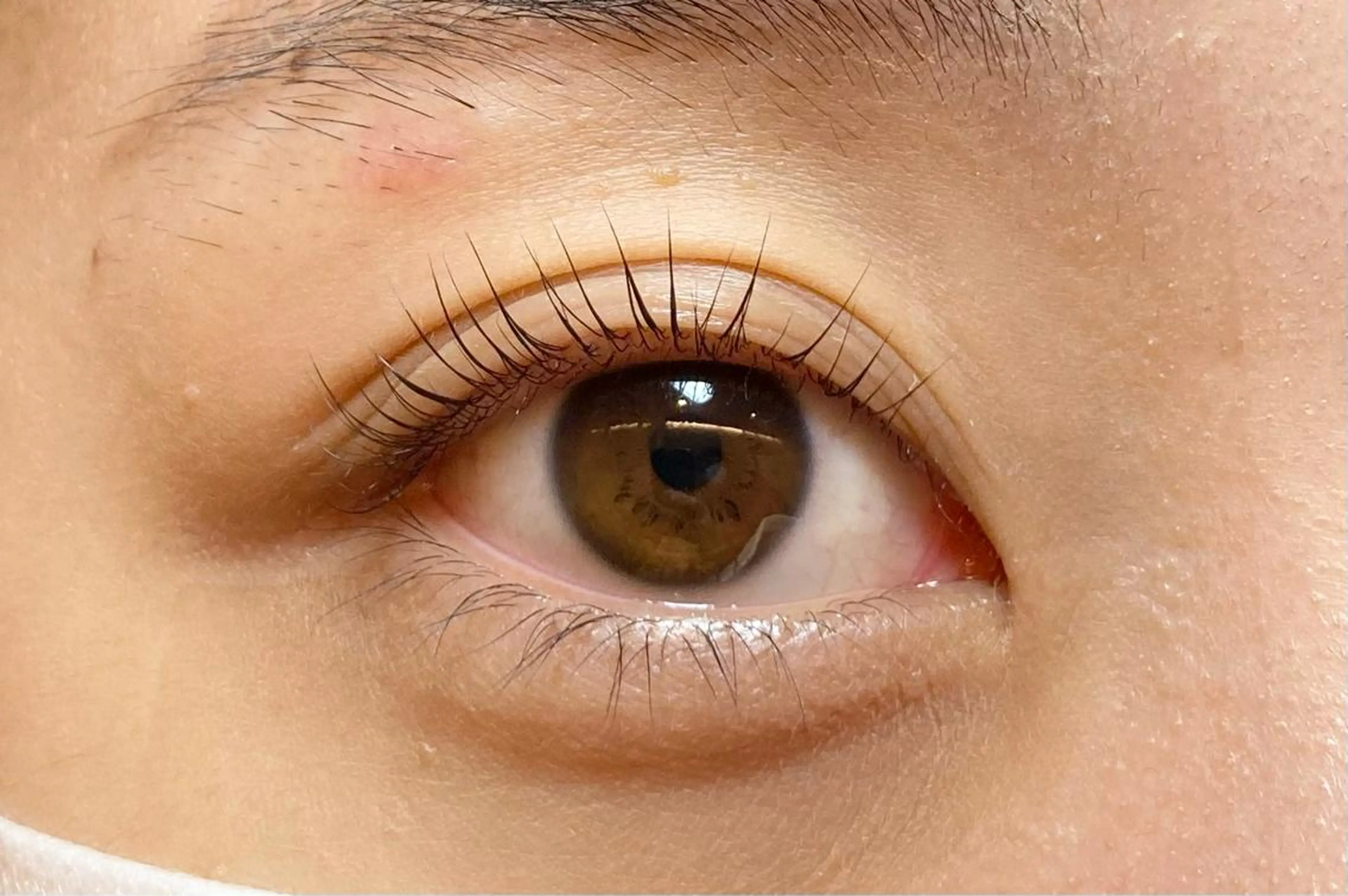 マツエク・マツパ パリジェンヌラッシュリフト sola: neolive出沼のマツエク・マツパデザイン