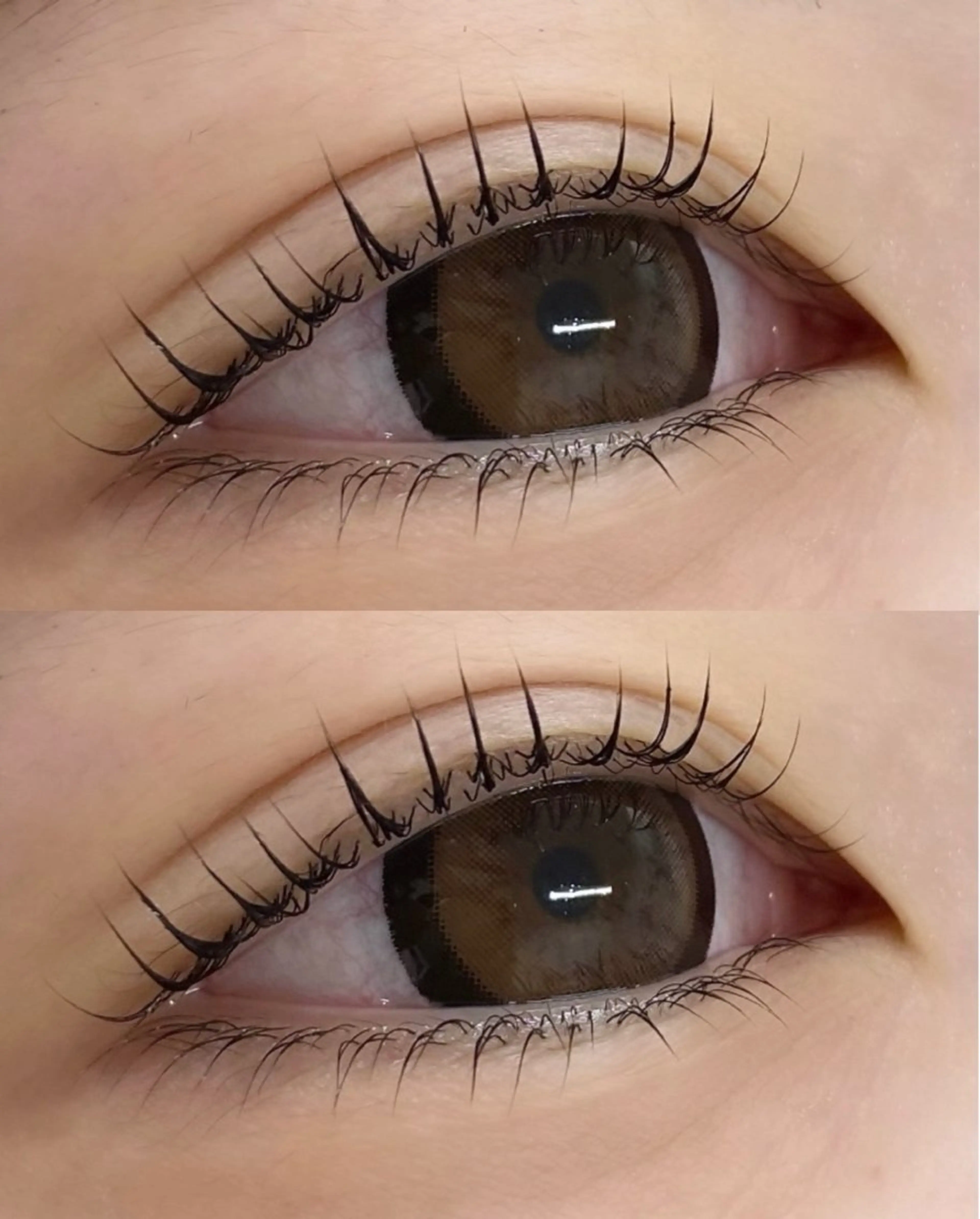 🎀上下まつ毛パーマ🎀の写真