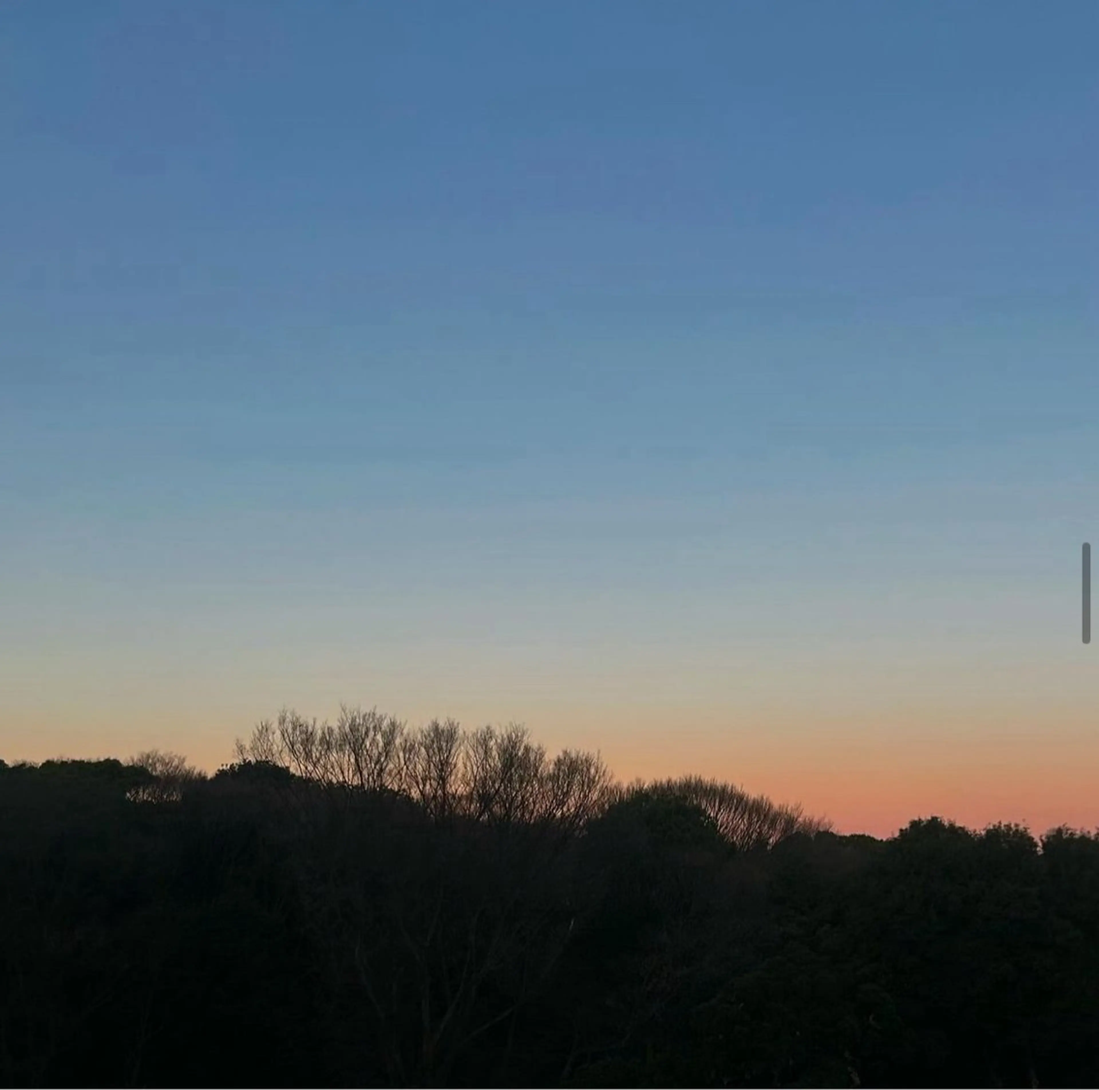 ミディアム カラー パーマ ヘアアレンジ キッズ 成人式 着付け GOTODAY SHAiRE SALON (原宿本店)所属・stylist 🎀 kanaのその他イメージ