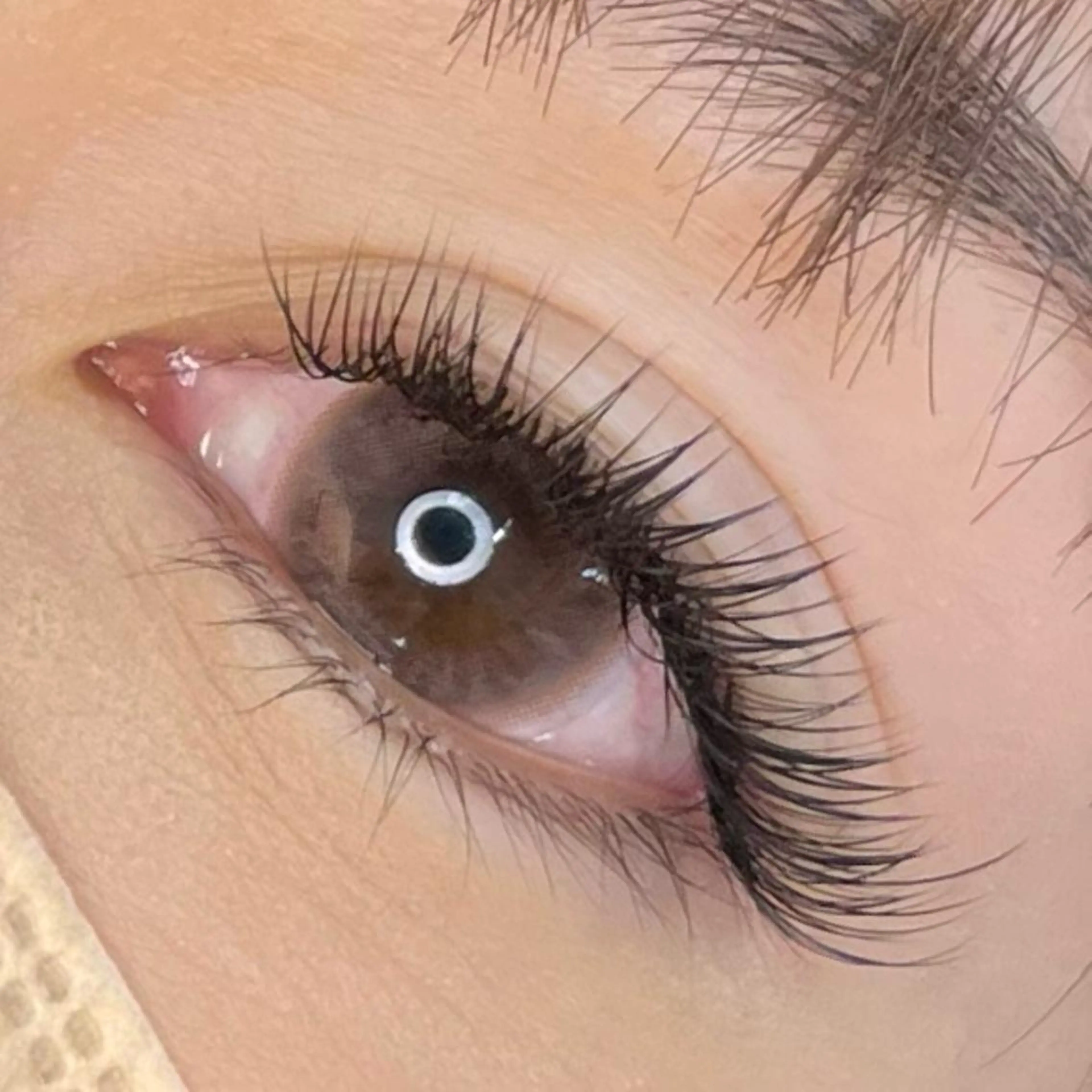 マツエク・マツパ Lanieina所属・Lanieina/ RinaSuganoのエステ・リラクイメージ