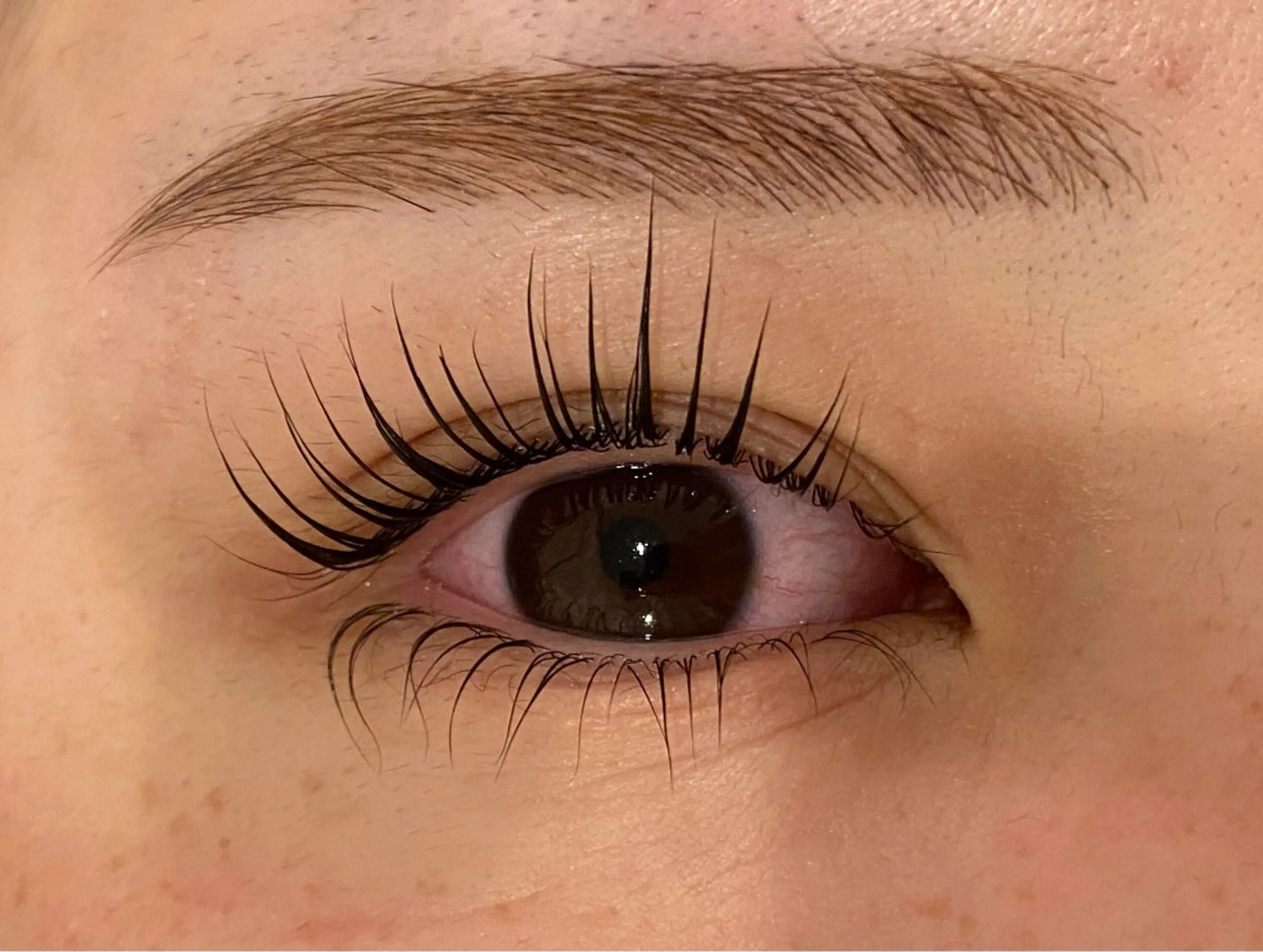 マツエク・マツパ Daisy lash 京橋店堀井のマツエク・マツパデザイン