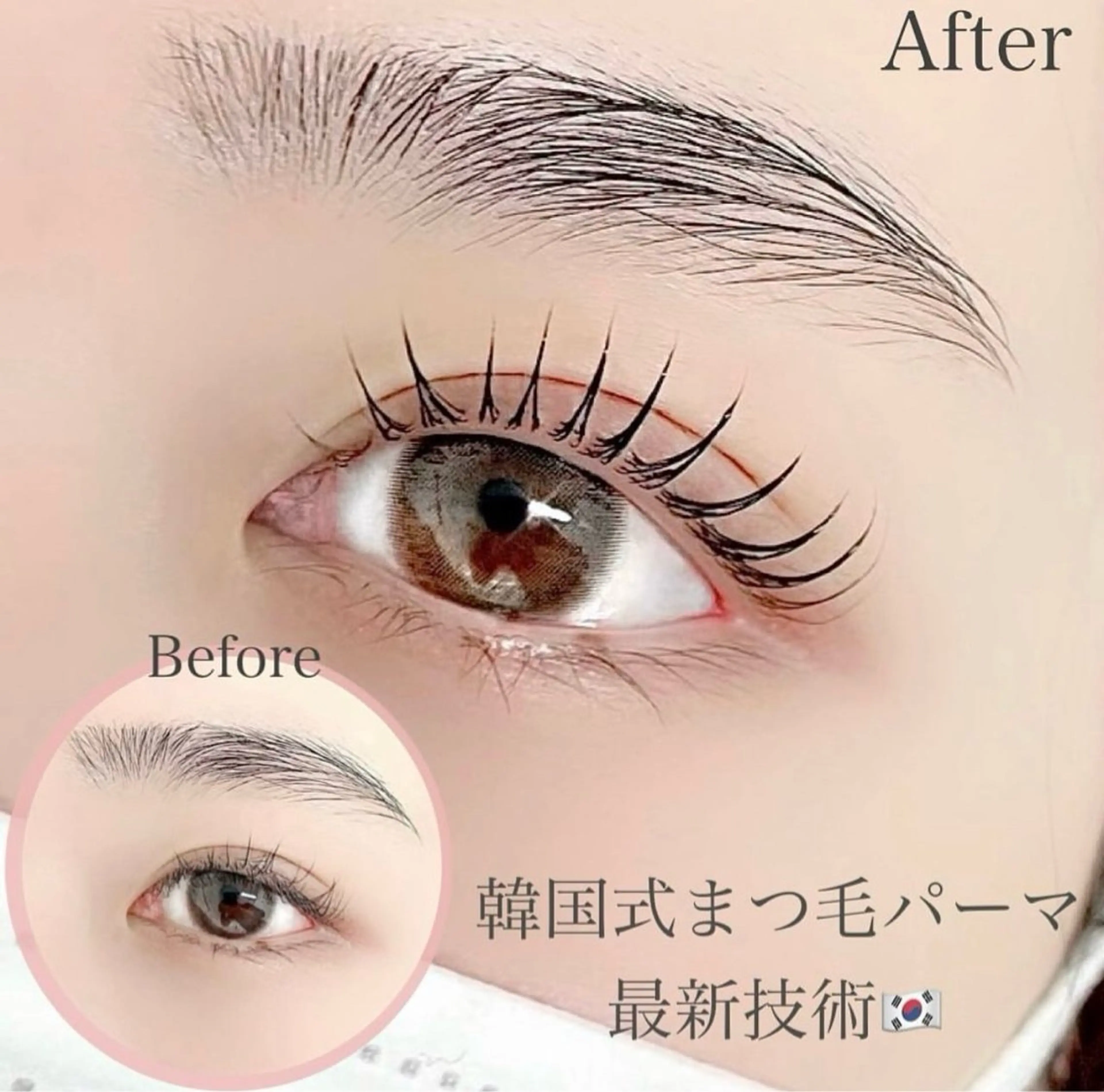 🇰🇷韓国式 まつげパーマ🇰🇷 期间限定の写真